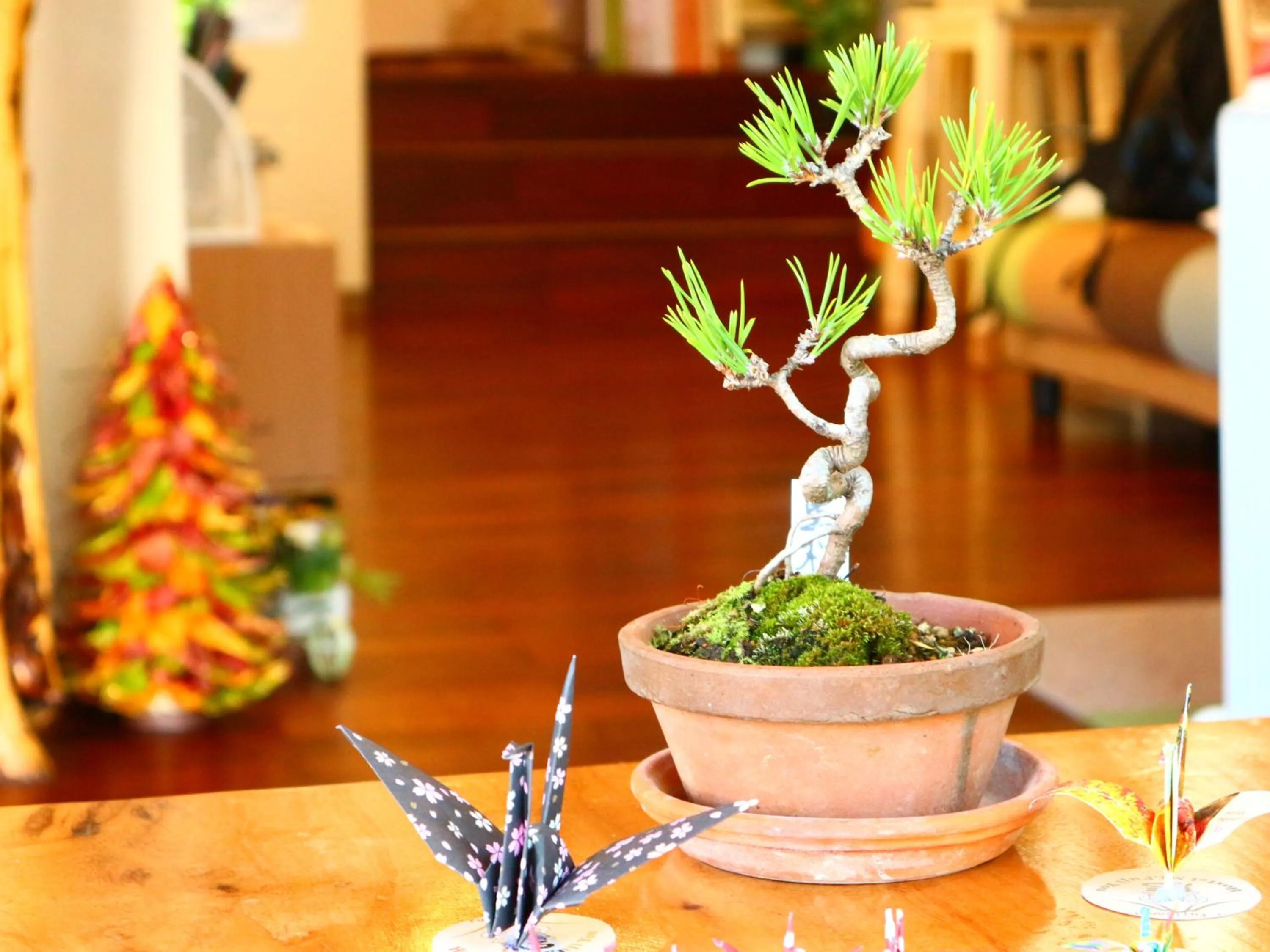 Lobby or reception in ホステル富士山 結