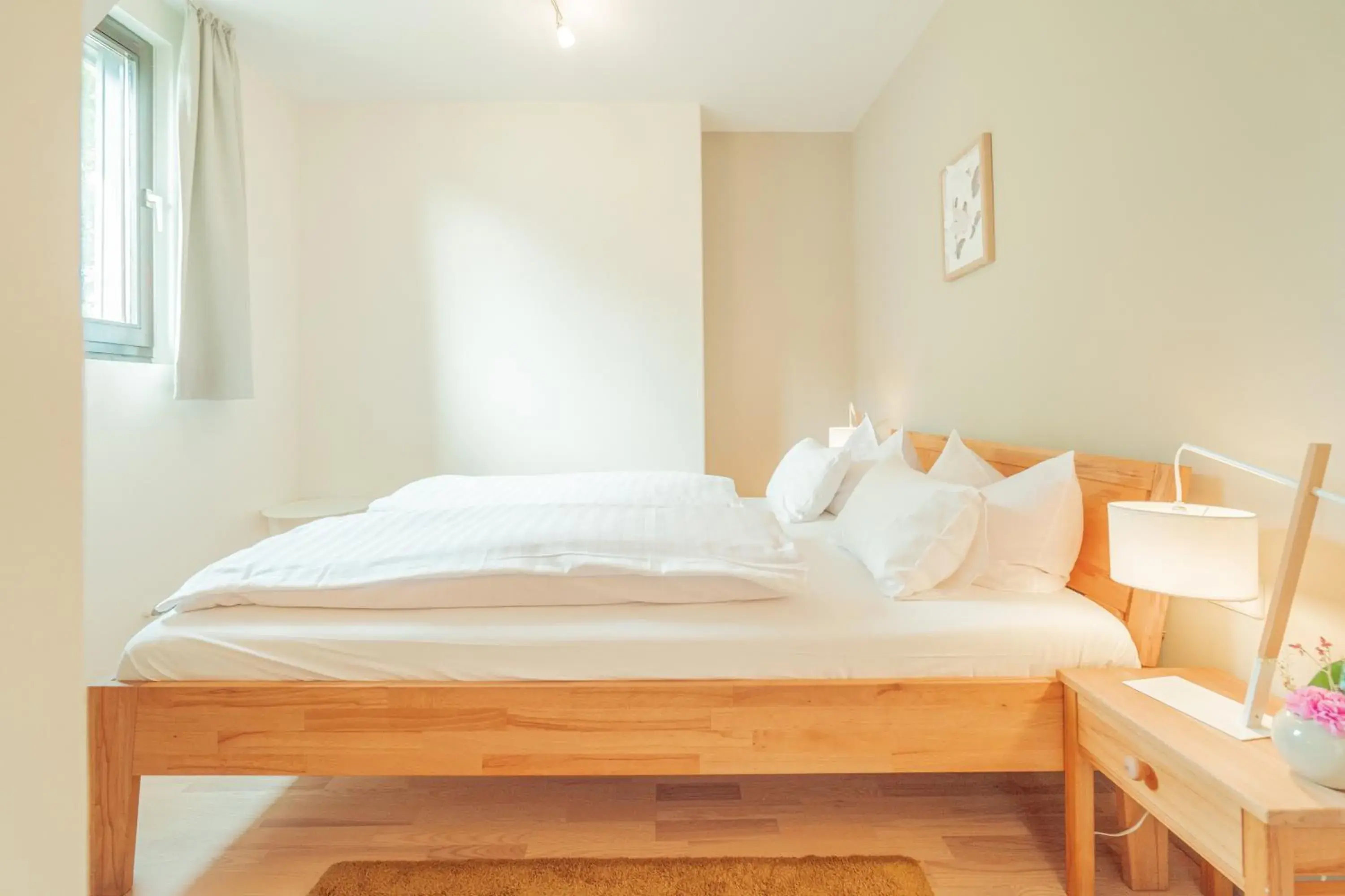 Basic Double Room - single occupancy in Hotel Restaurant zur Sonne St. Peter Basic Double Room - single occupancy in Hotel Restaurant zur Sonne St. Peter