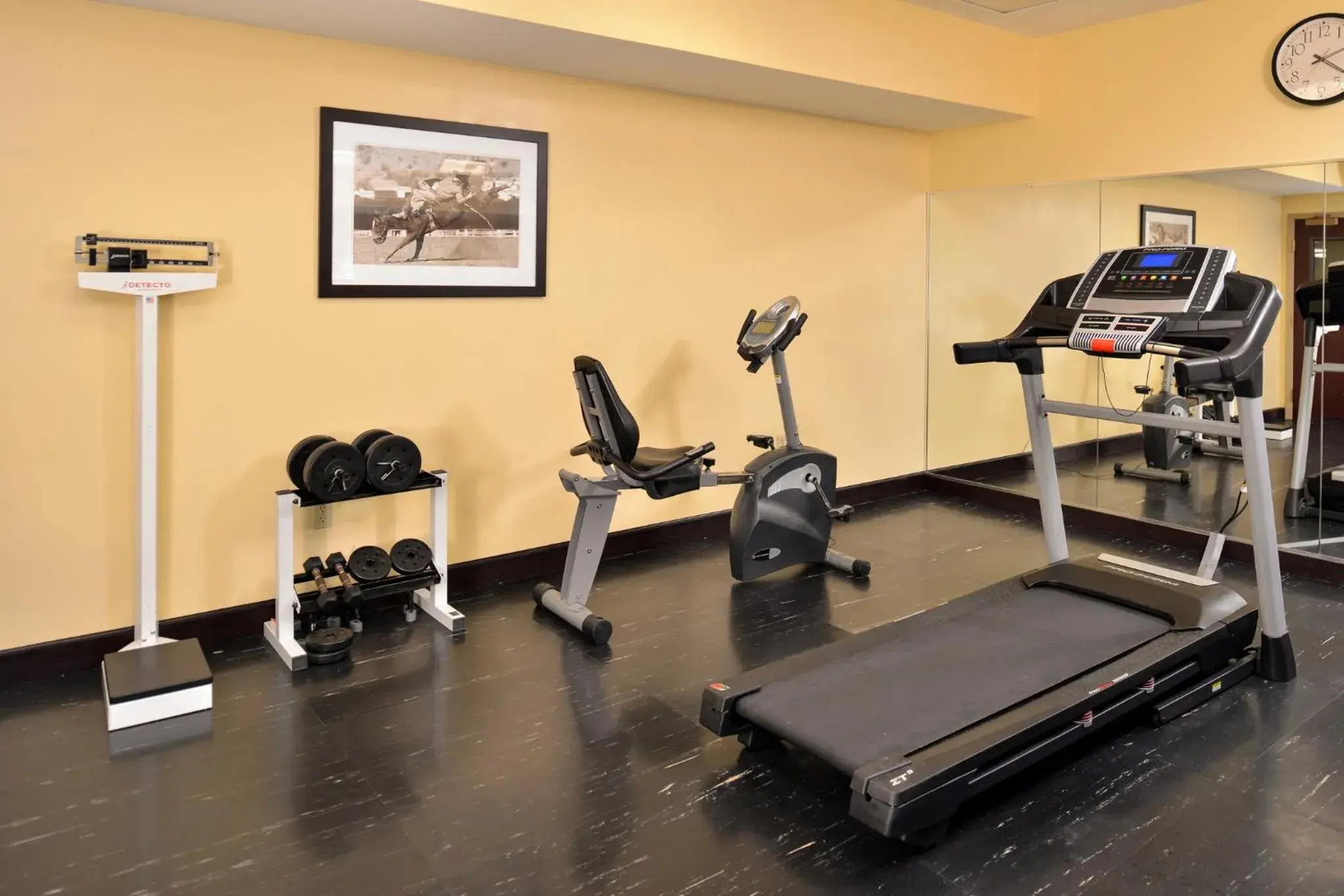 Fitness centre/facilities in Holiday Inn Express & Suites Austin SW - Sunset Valley by IHG Fitness centre/facilities in Holiday Inn Express & Suites Austin SW - Sunset Valley by IHG