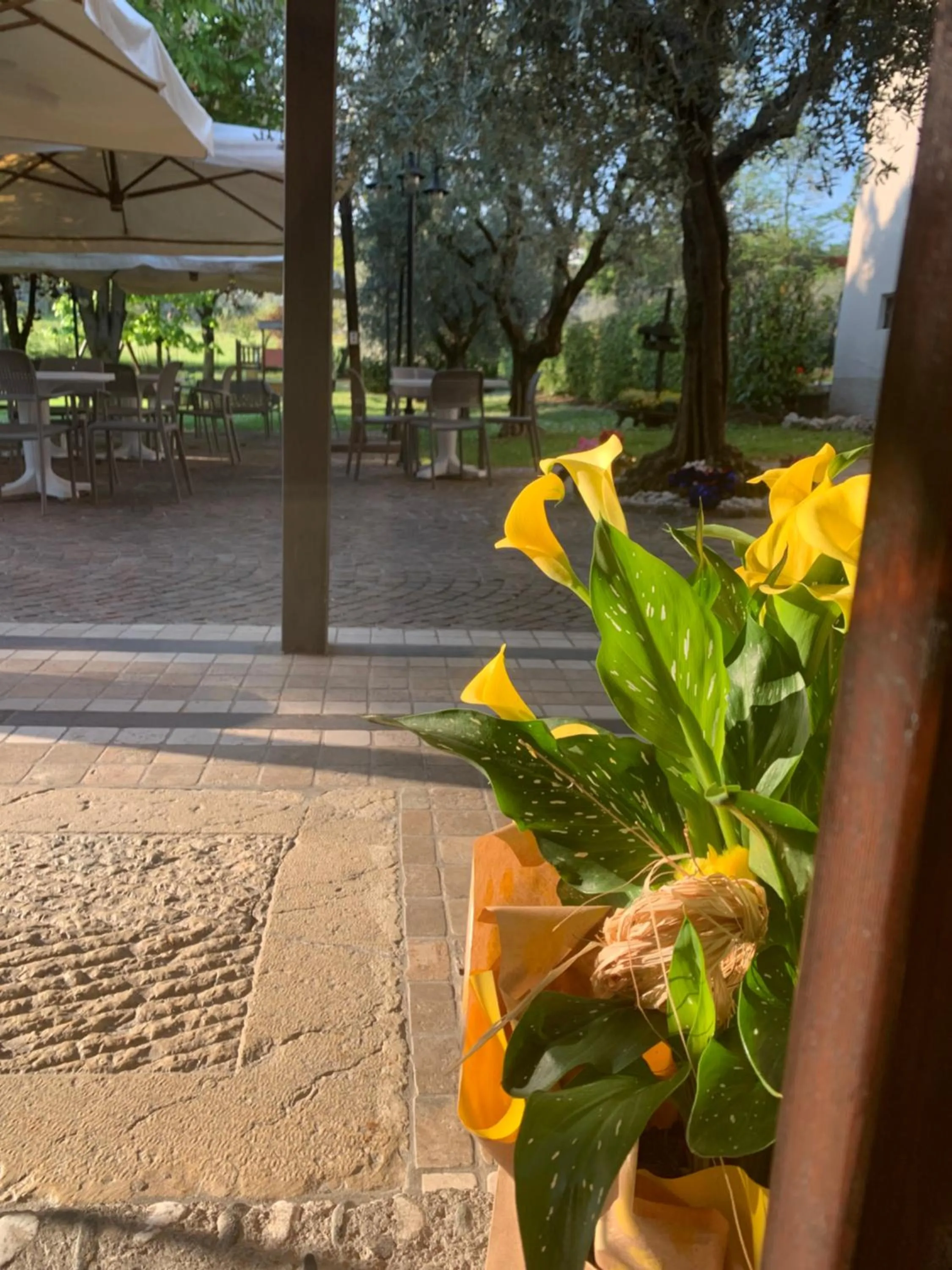 Rustico di Benellini Angela