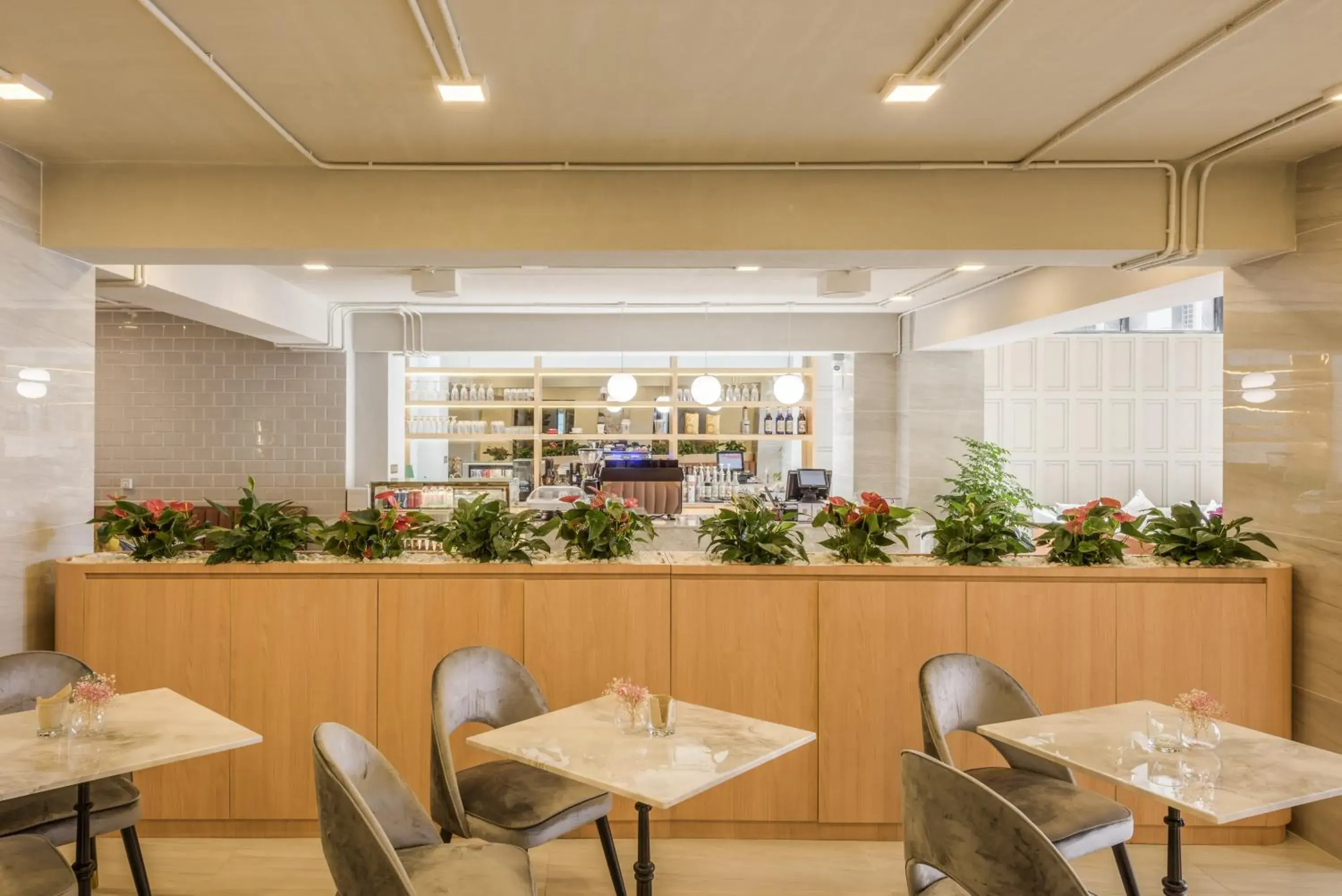 Restaurant/places to eat in Mansion 51 Hotel & Apartment Restaurant/places to eat in Mansion 51 Hotel & Apartment