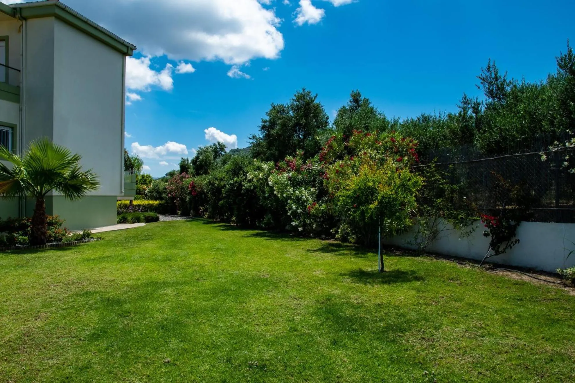 Garden in Villa Dimokratia