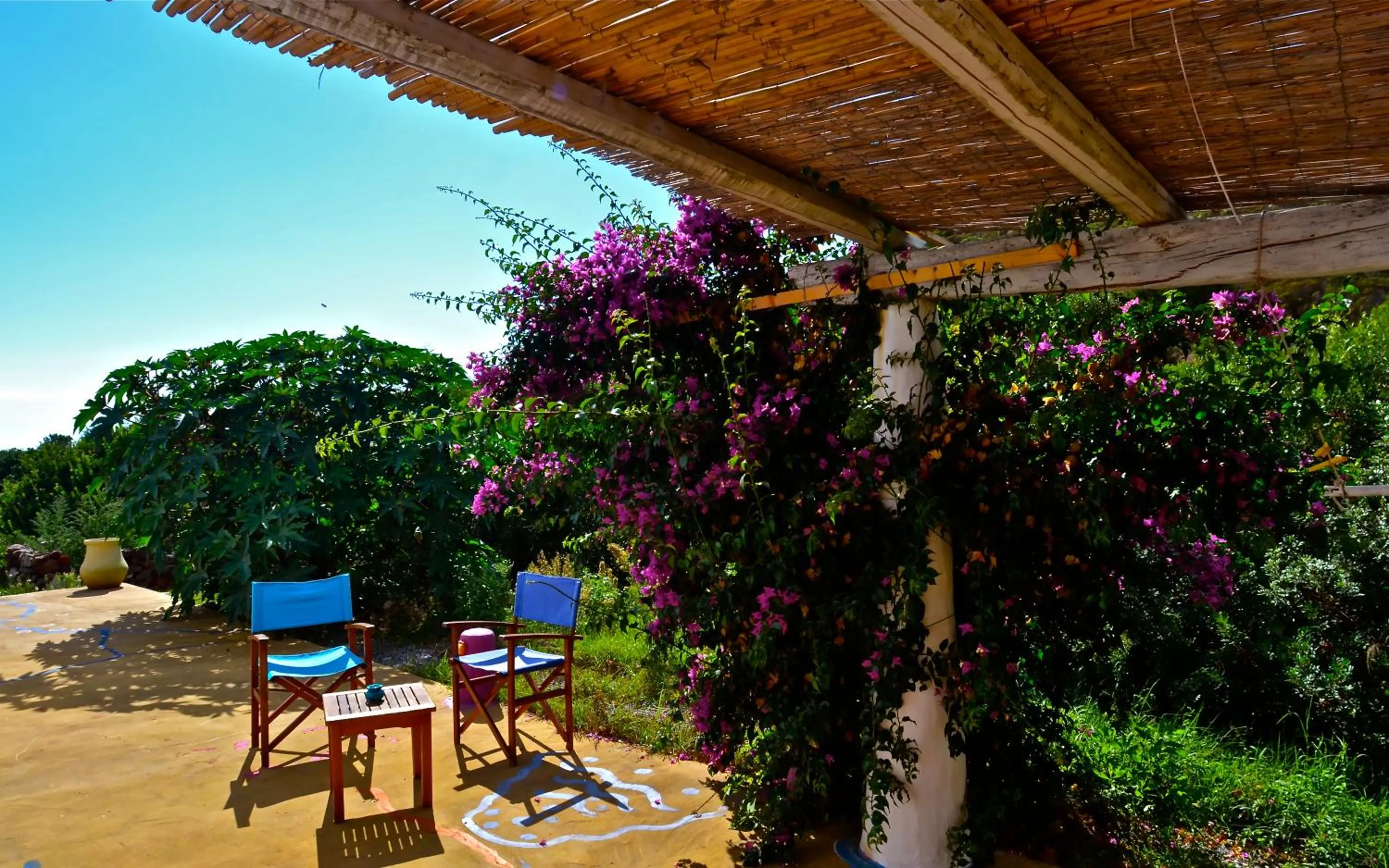 Double Room with Garden View - single occupancy in Poecylia