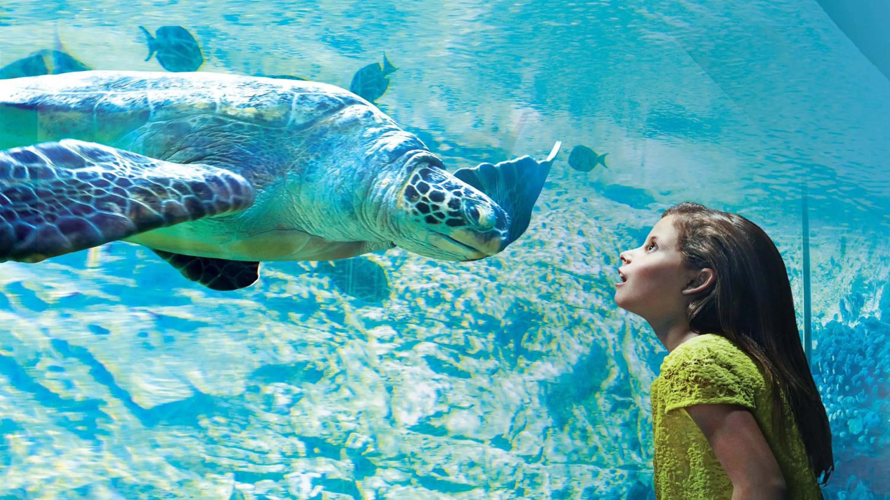 Nearby landmark in Holiday Inn Express Hotel & Suites San Antonio - Rivercenter Area by IHG