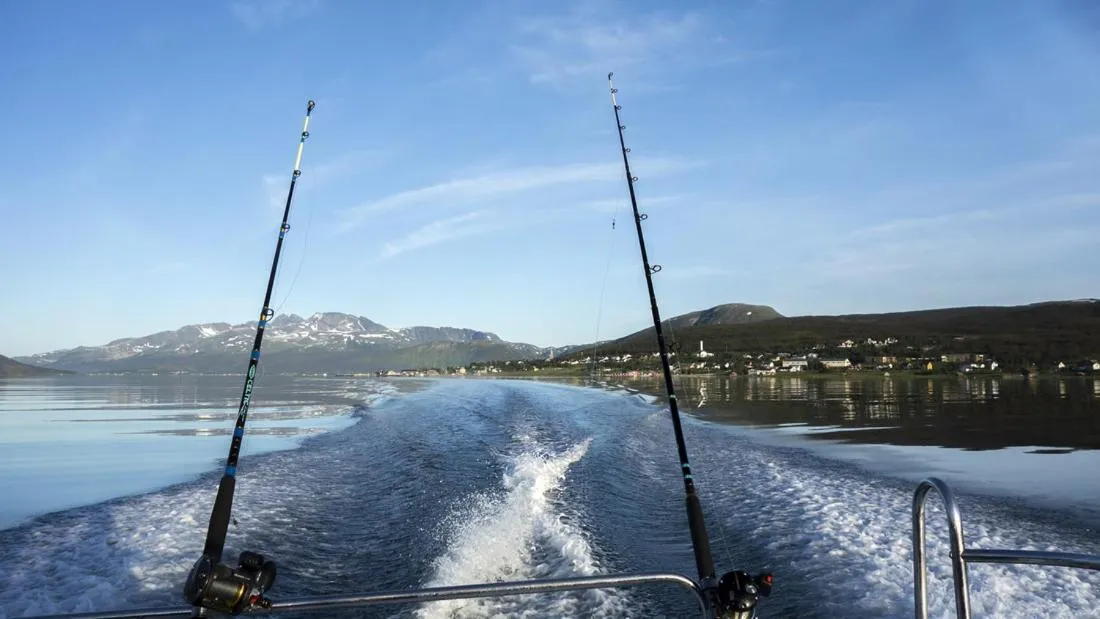 Neighbourhood in Hansnes Havfiske