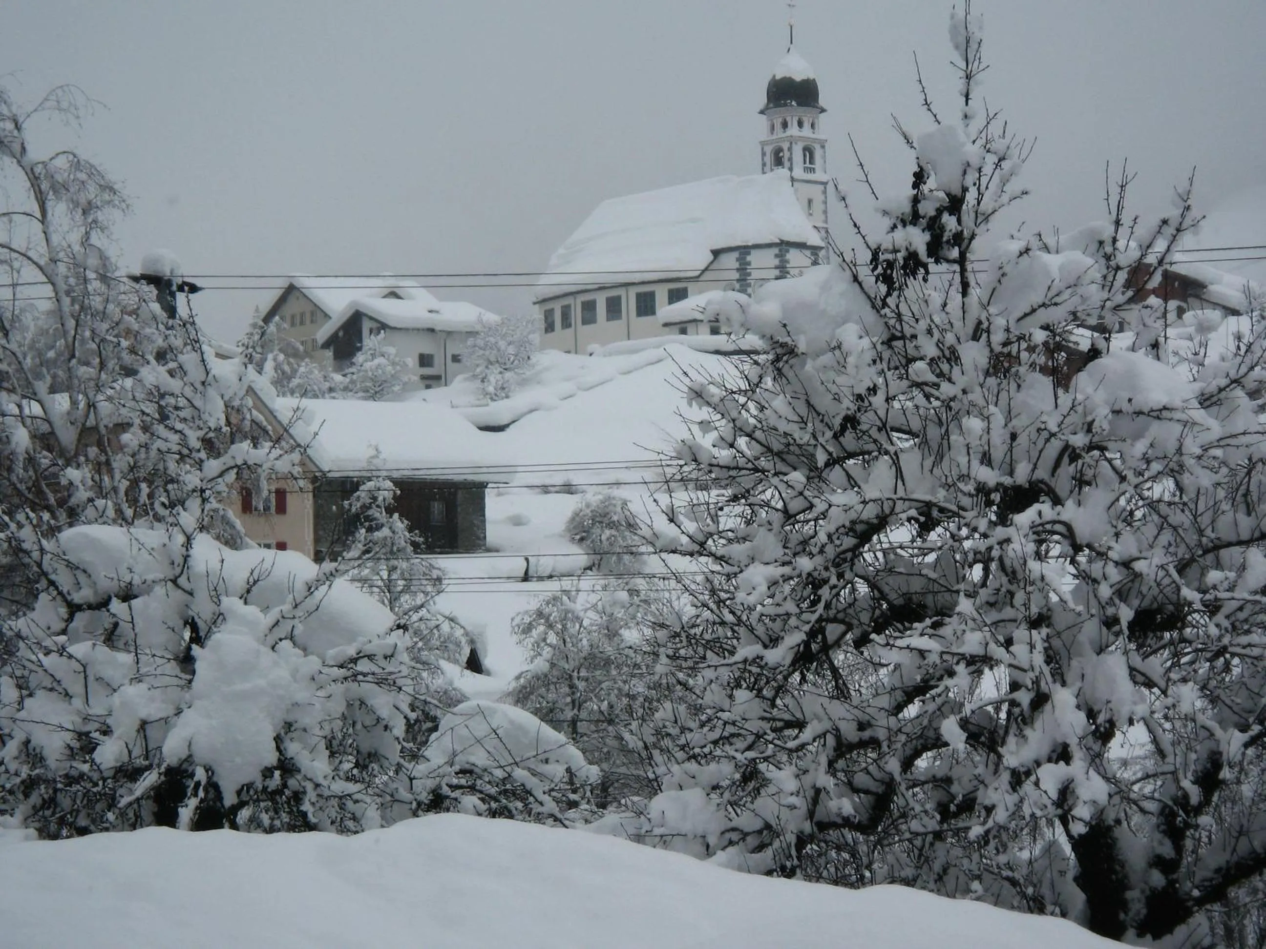 Natural landscape in Ustria Crusch Alva