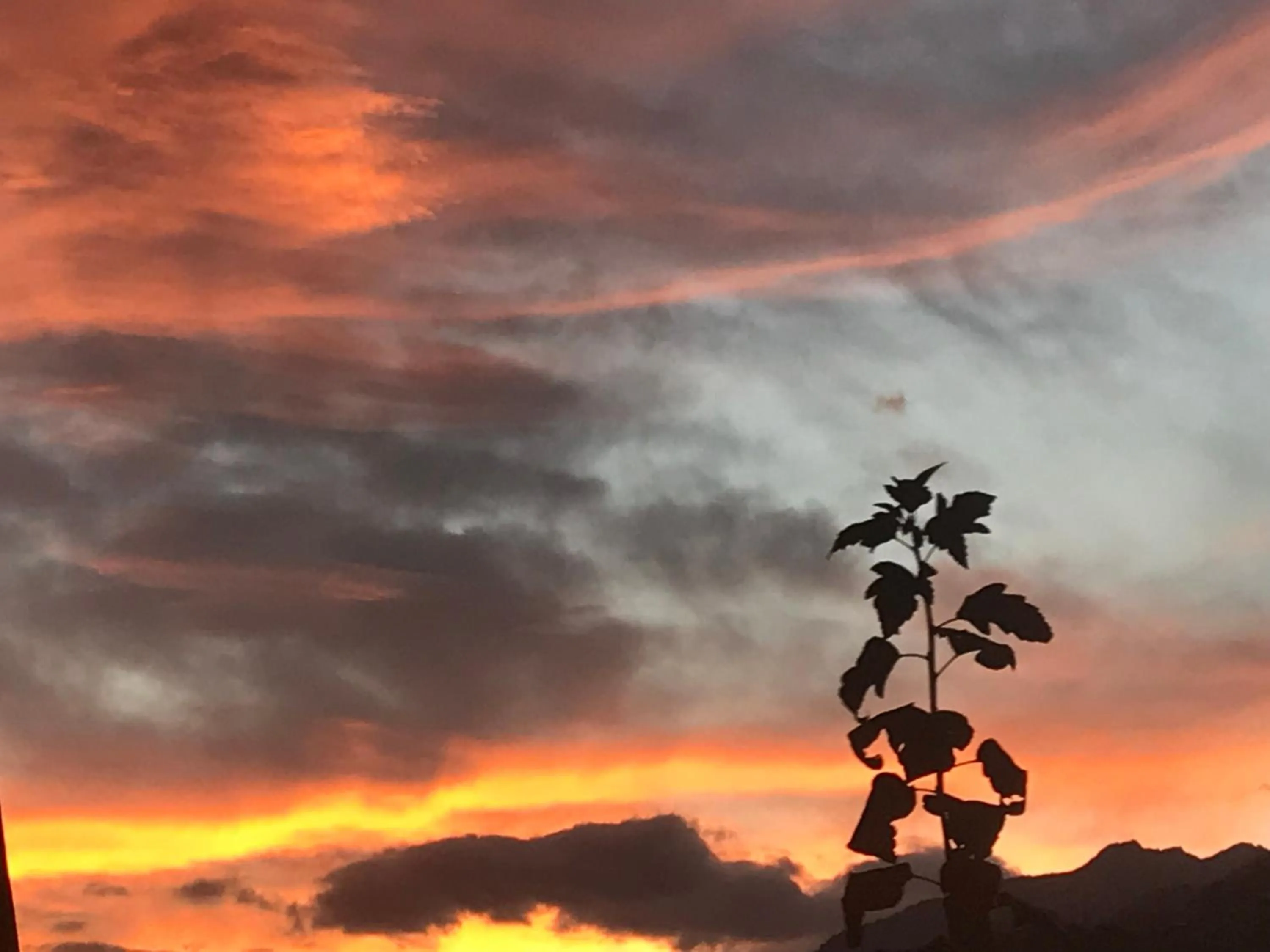 Natural landscape in Ustria Crusch Alva