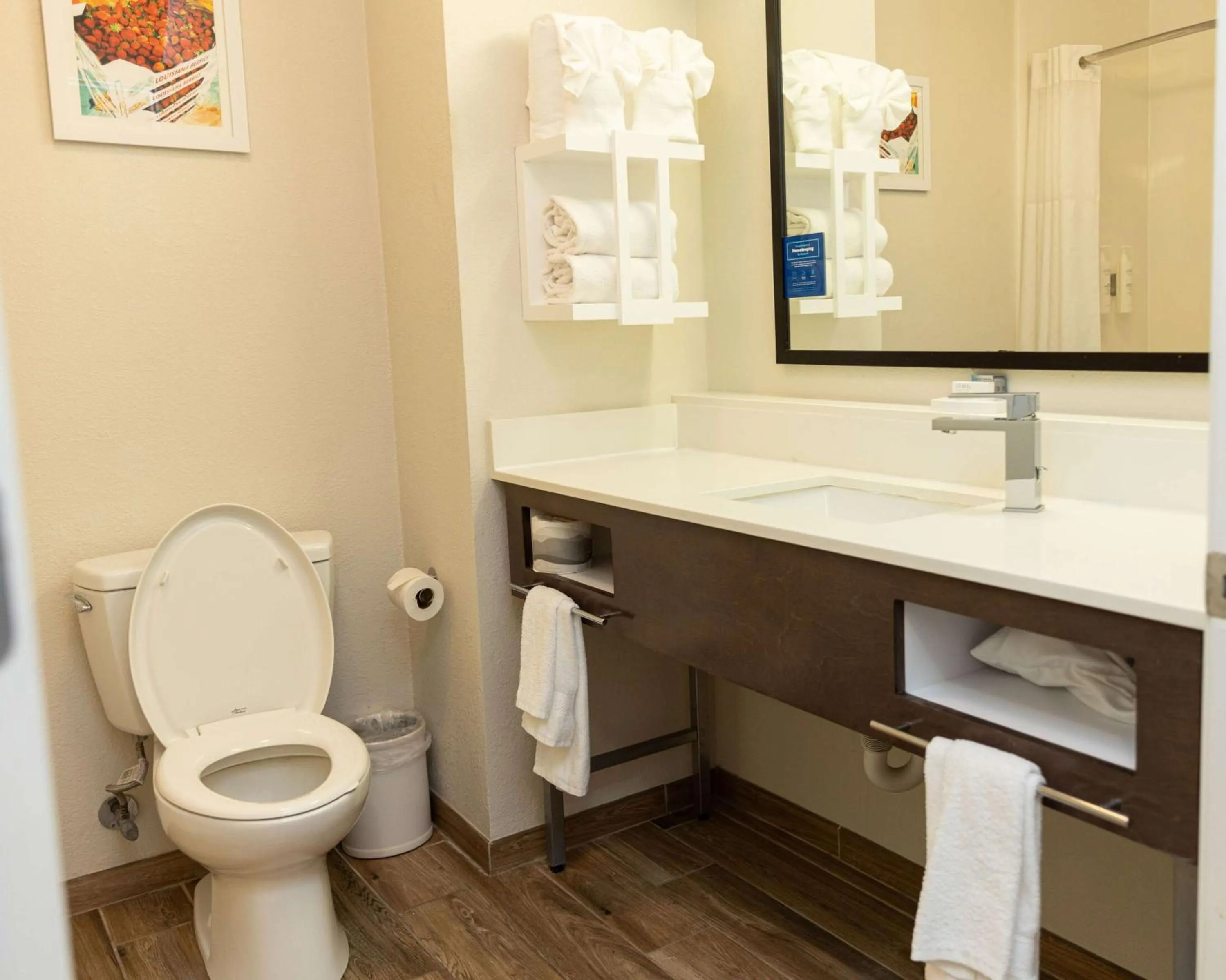 Bathroom in Hampton Inn Hammond