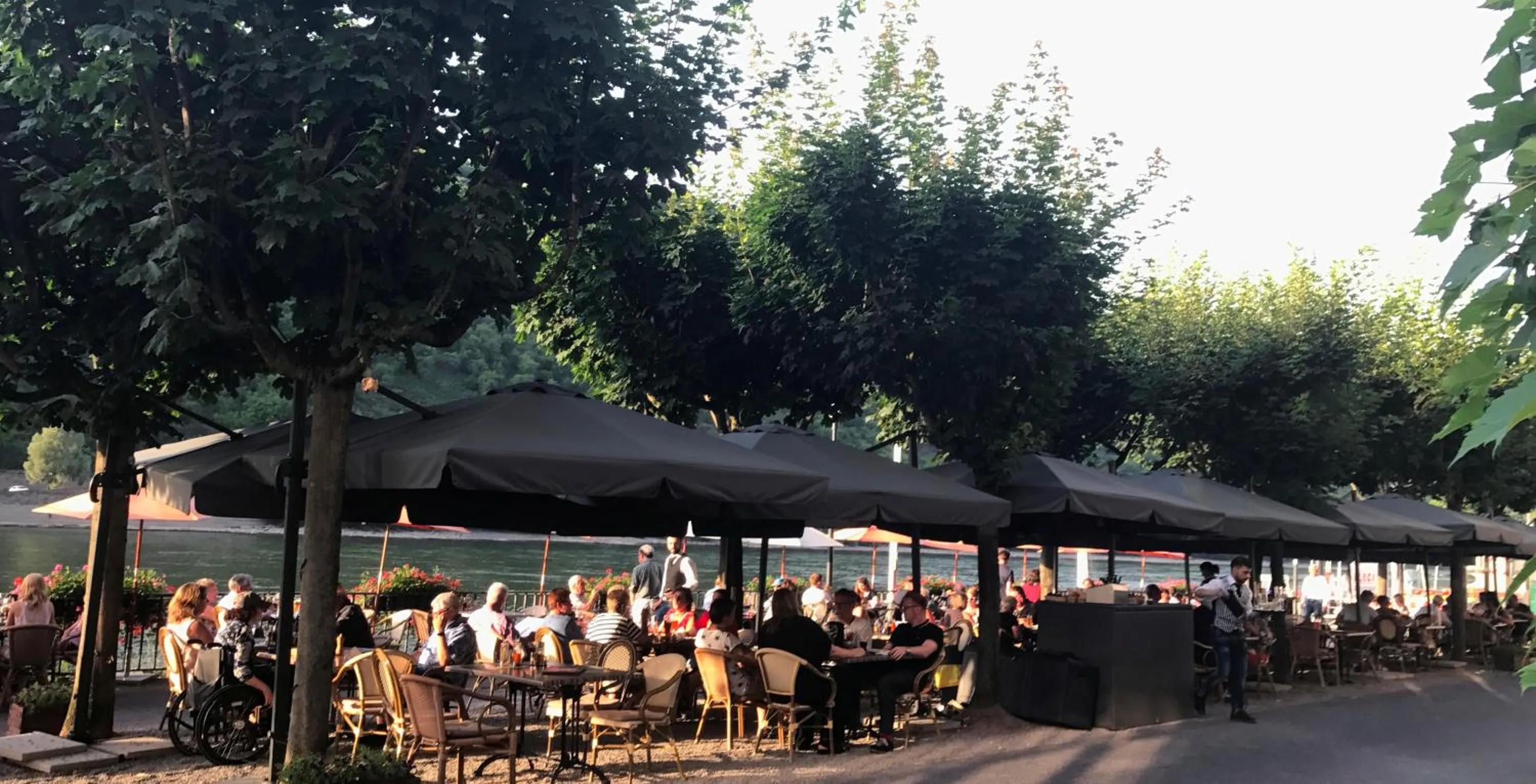 Summer in Rheinhotel Lilie