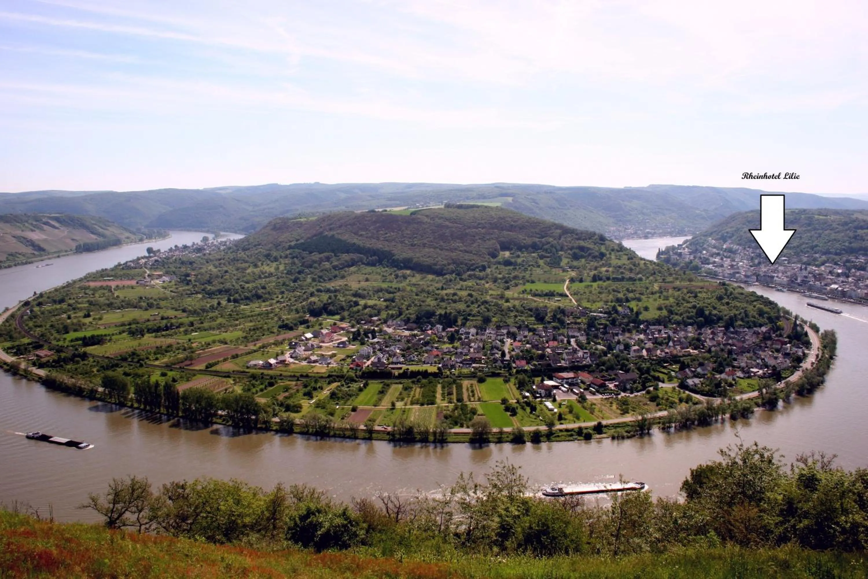 View (from property/room) in Rheinhotel Lilie