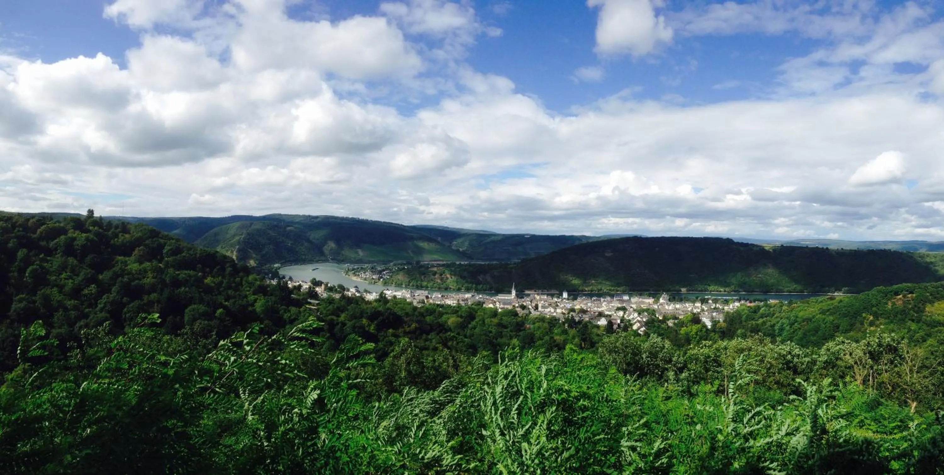 Day in Rheinhotel Lilie