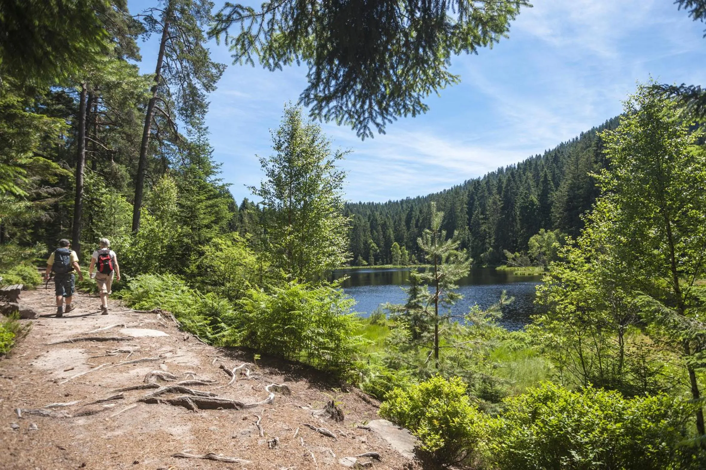 Nearby landmark in Schwarzwaldhotel Oberwiesenhof