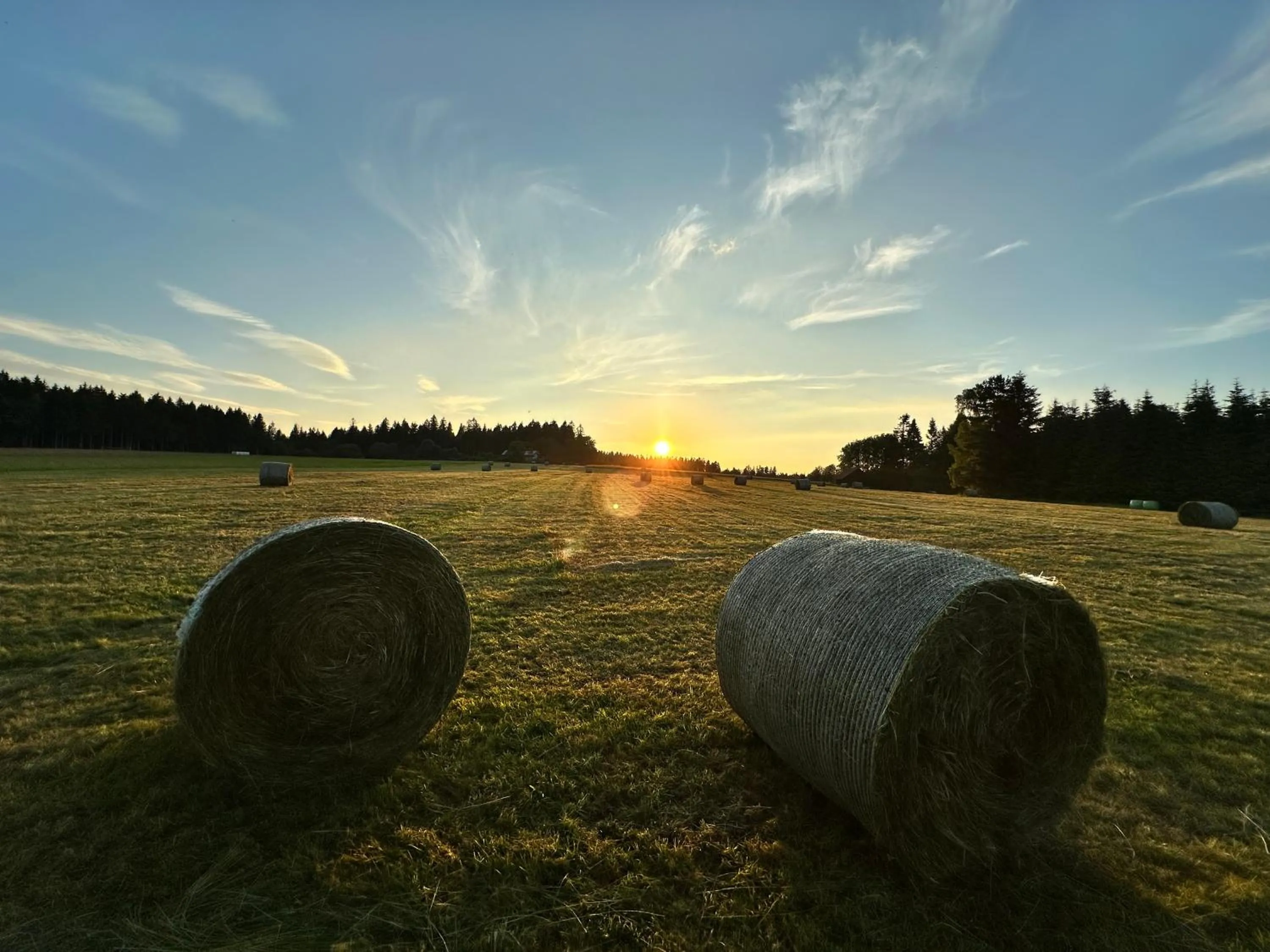 Property building in Schwarzwaldhotel Oberwiesenhof