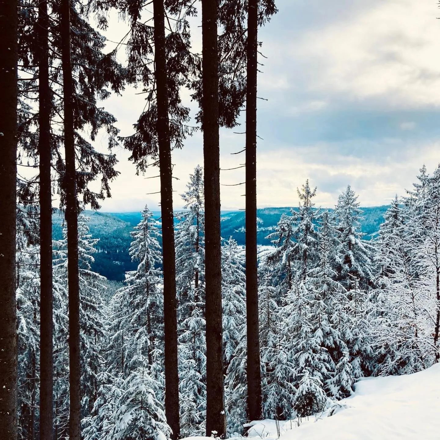 Property building in Schwarzwaldhotel Oberwiesenhof