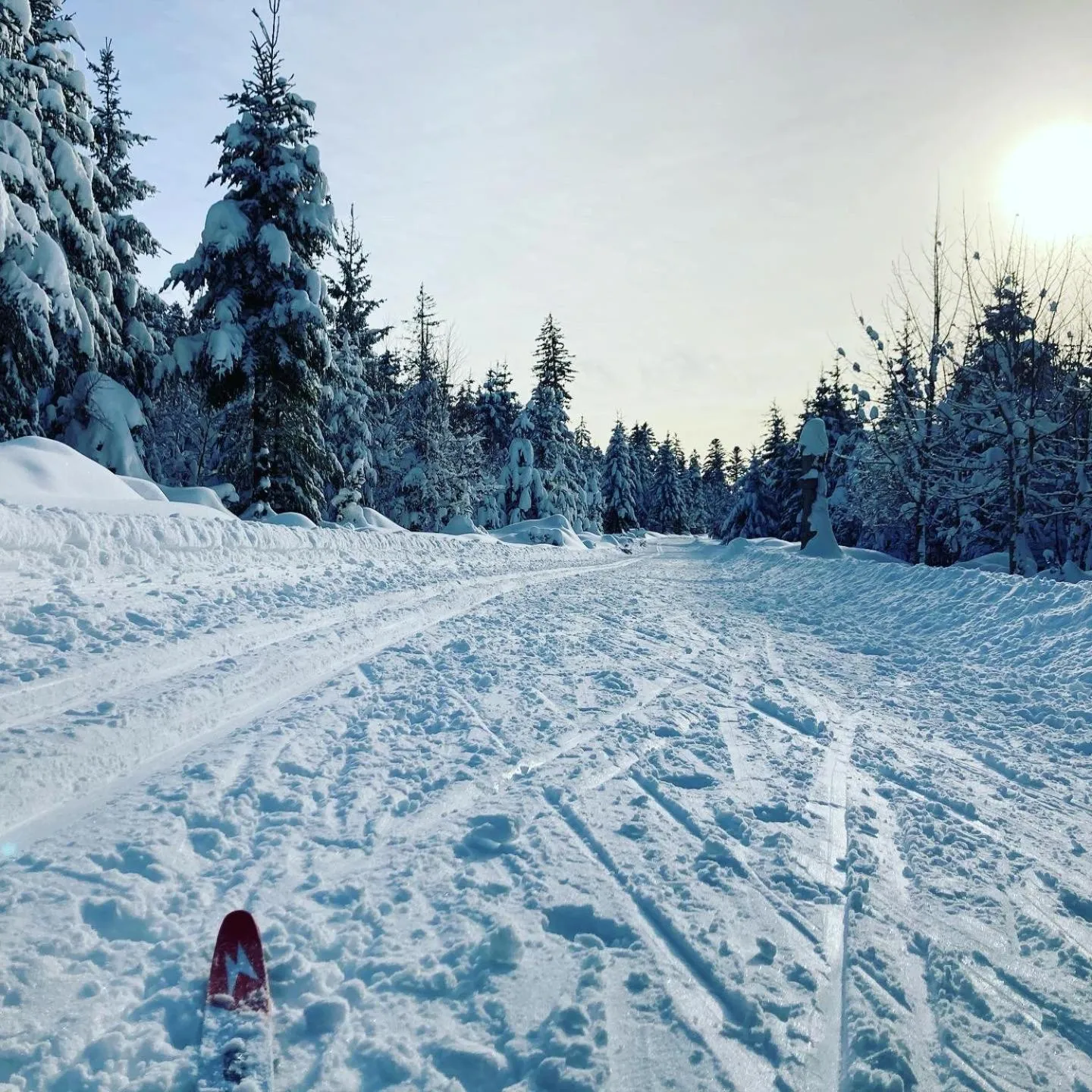 Property building in Schwarzwaldhotel Oberwiesenhof