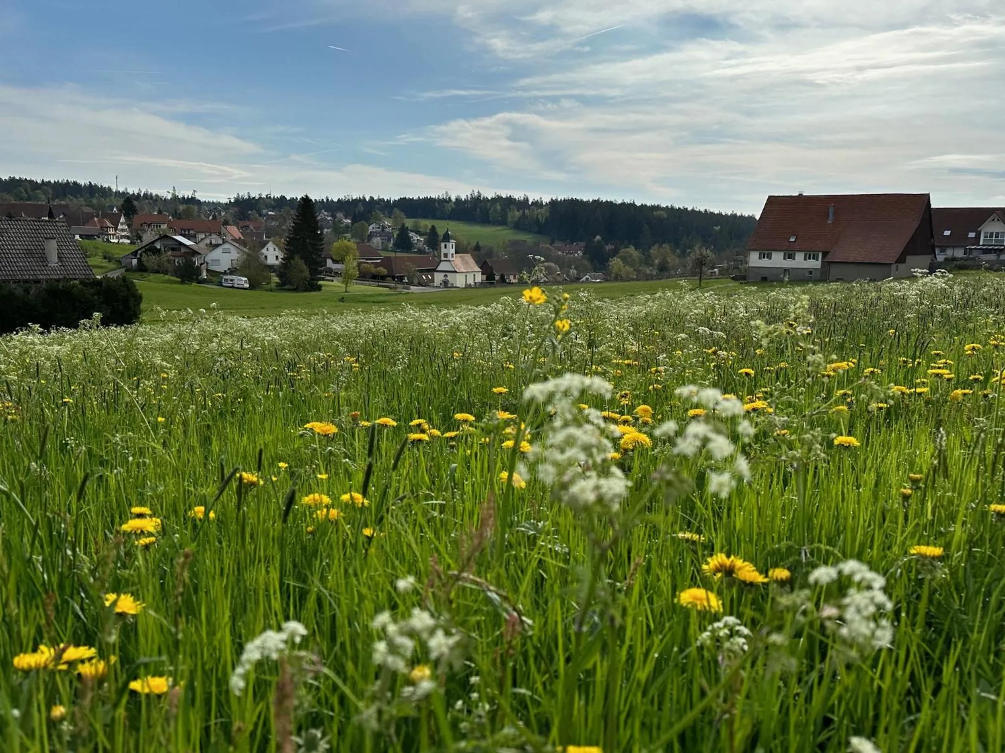 Property building in Schwarzwaldhotel Oberwiesenhof