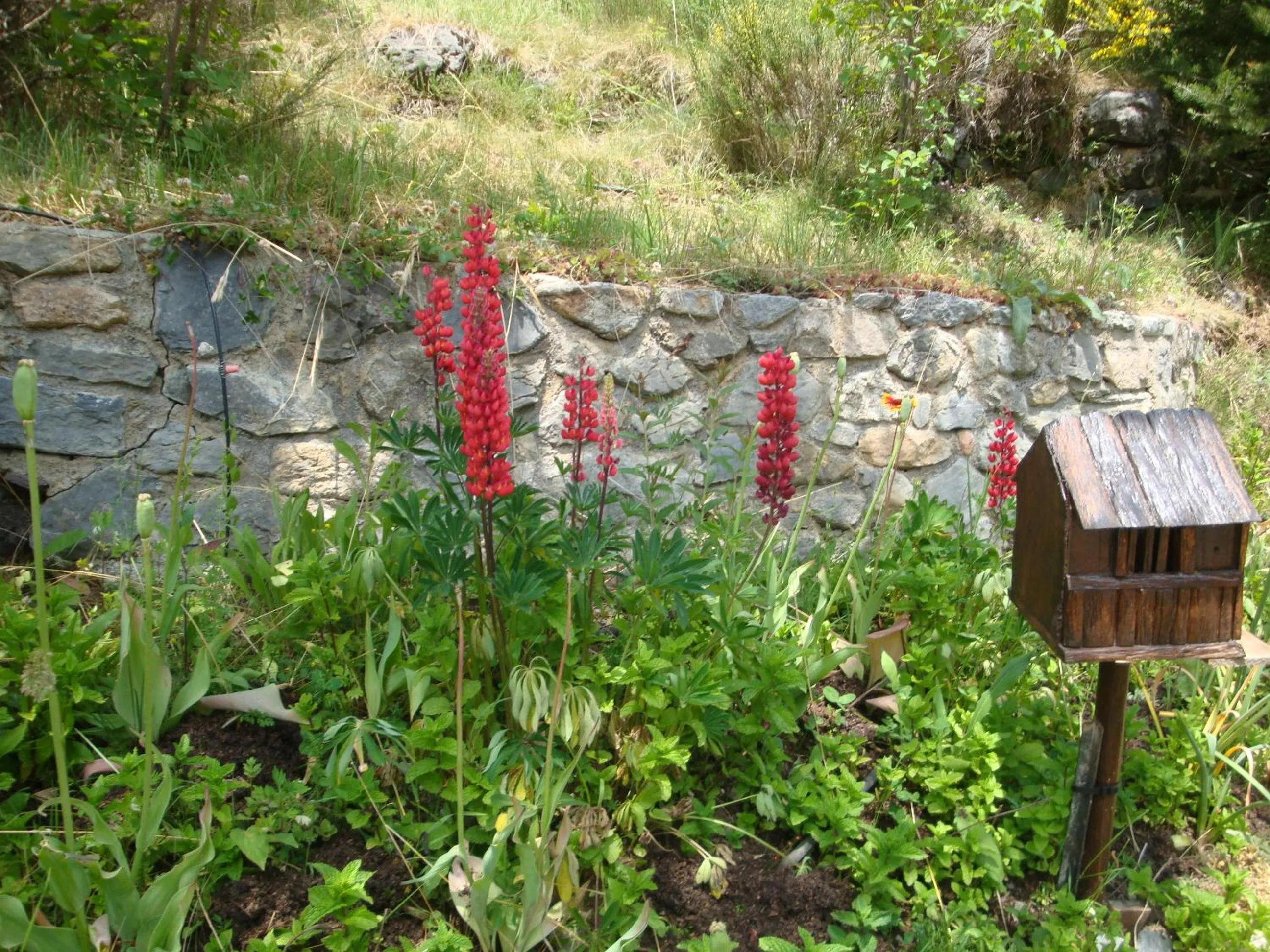 Garden in Chambres d'hôtes le génépi