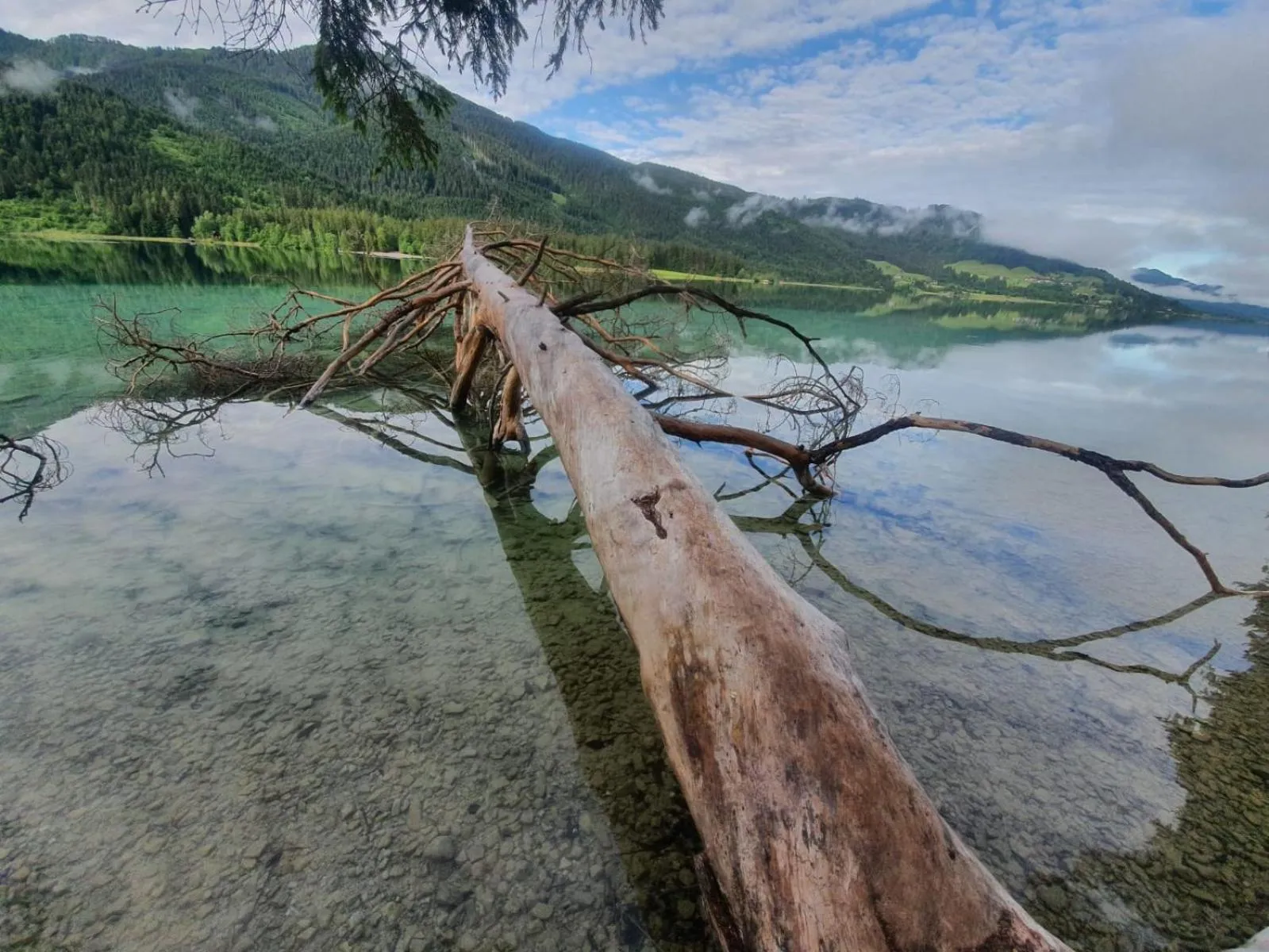 Natural landscape in Haus Lackner am Weissensee in Kärnten