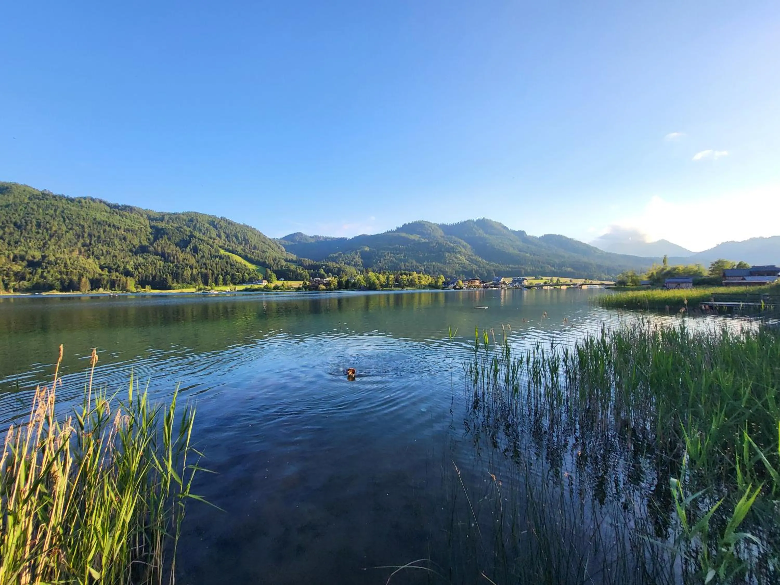 Beach in Haus Lackner am Weissensee in Kärnten