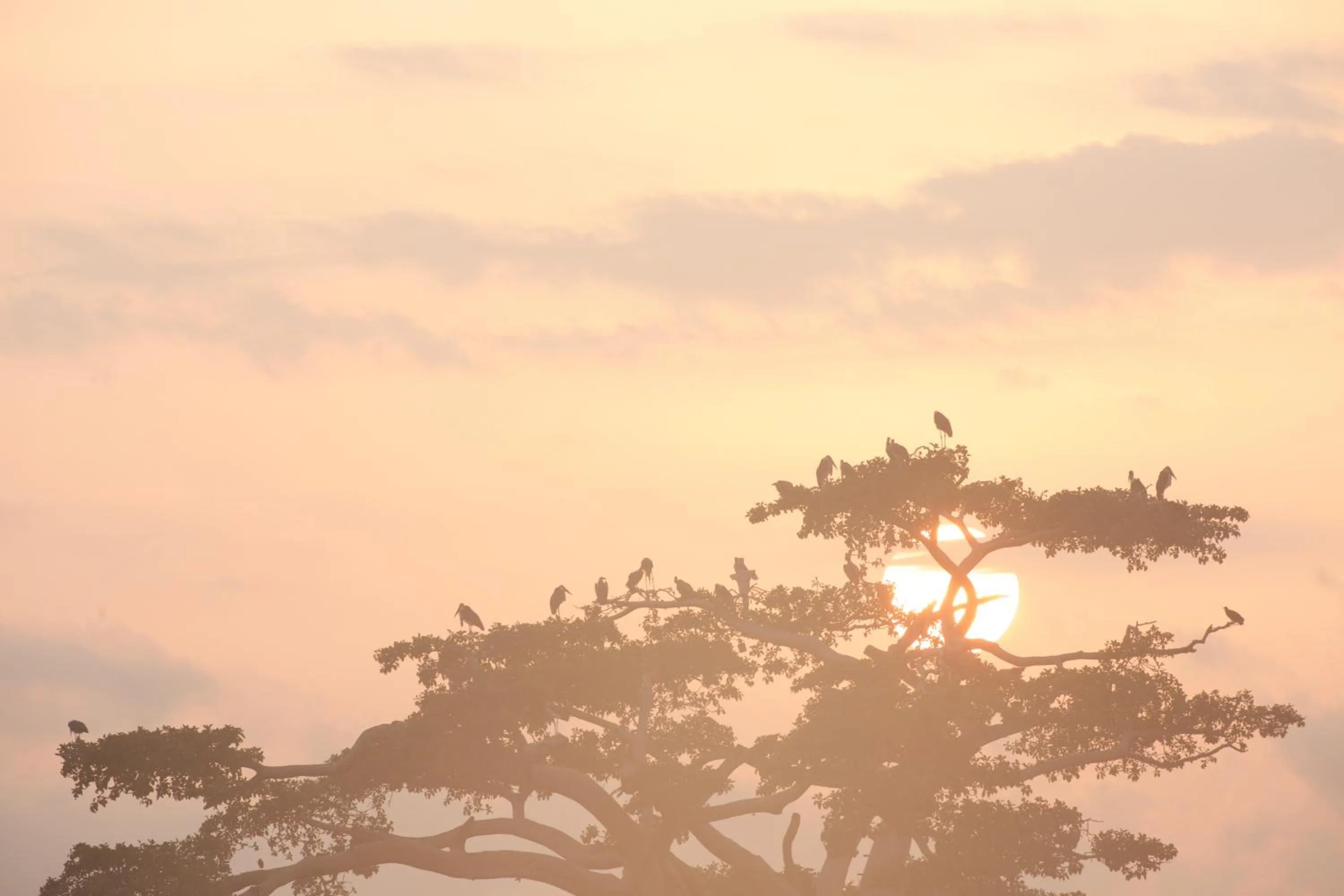 Natural landscape in Haile Resort Ziway Batu