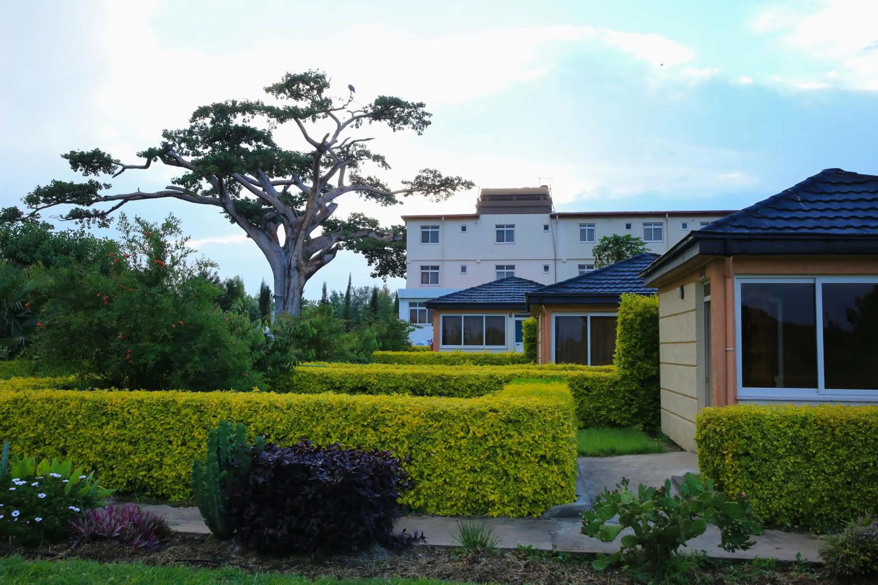 Garden in Haile Resort Ziway Batu
