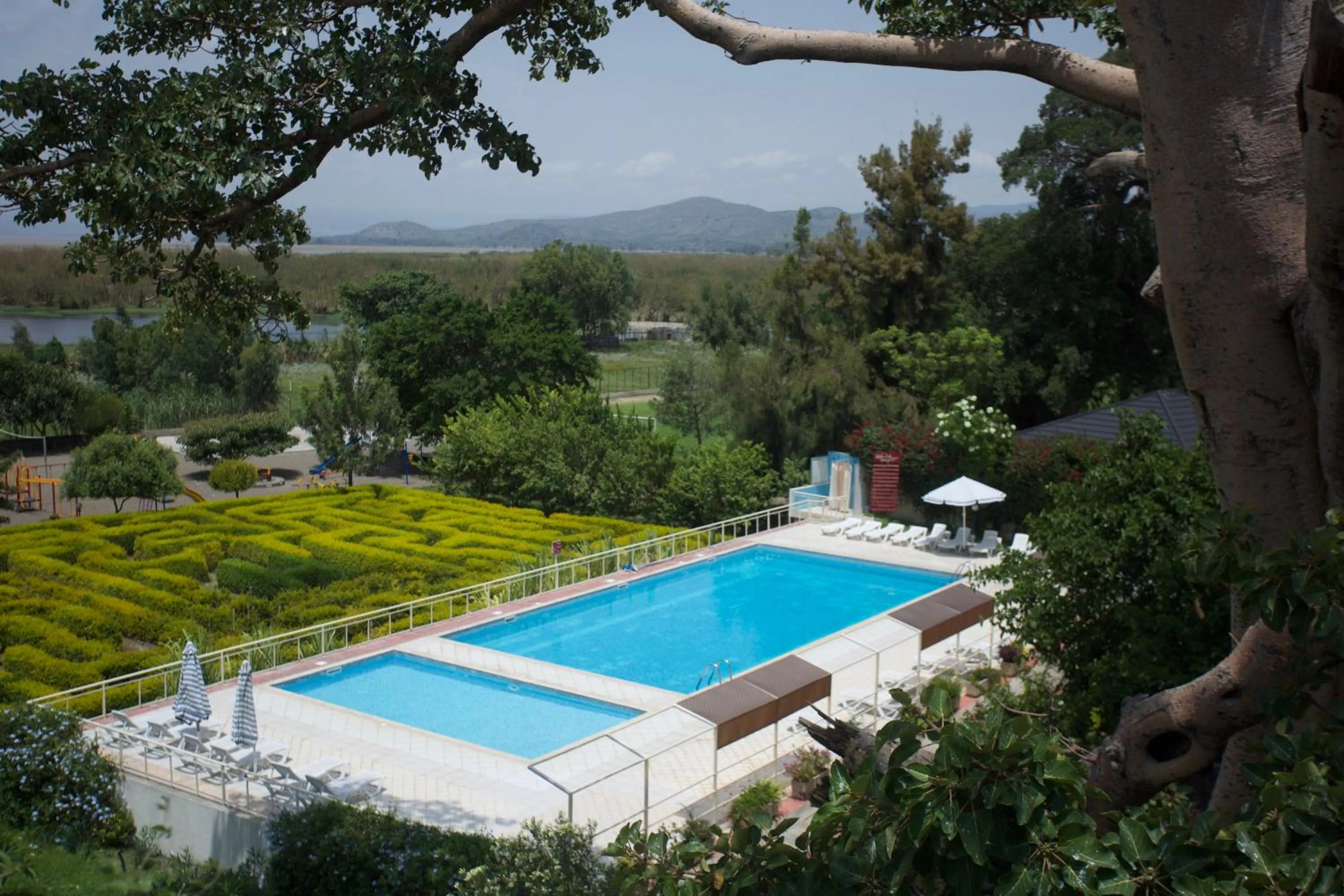 Swimming pool in Haile Resort Ziway Batu