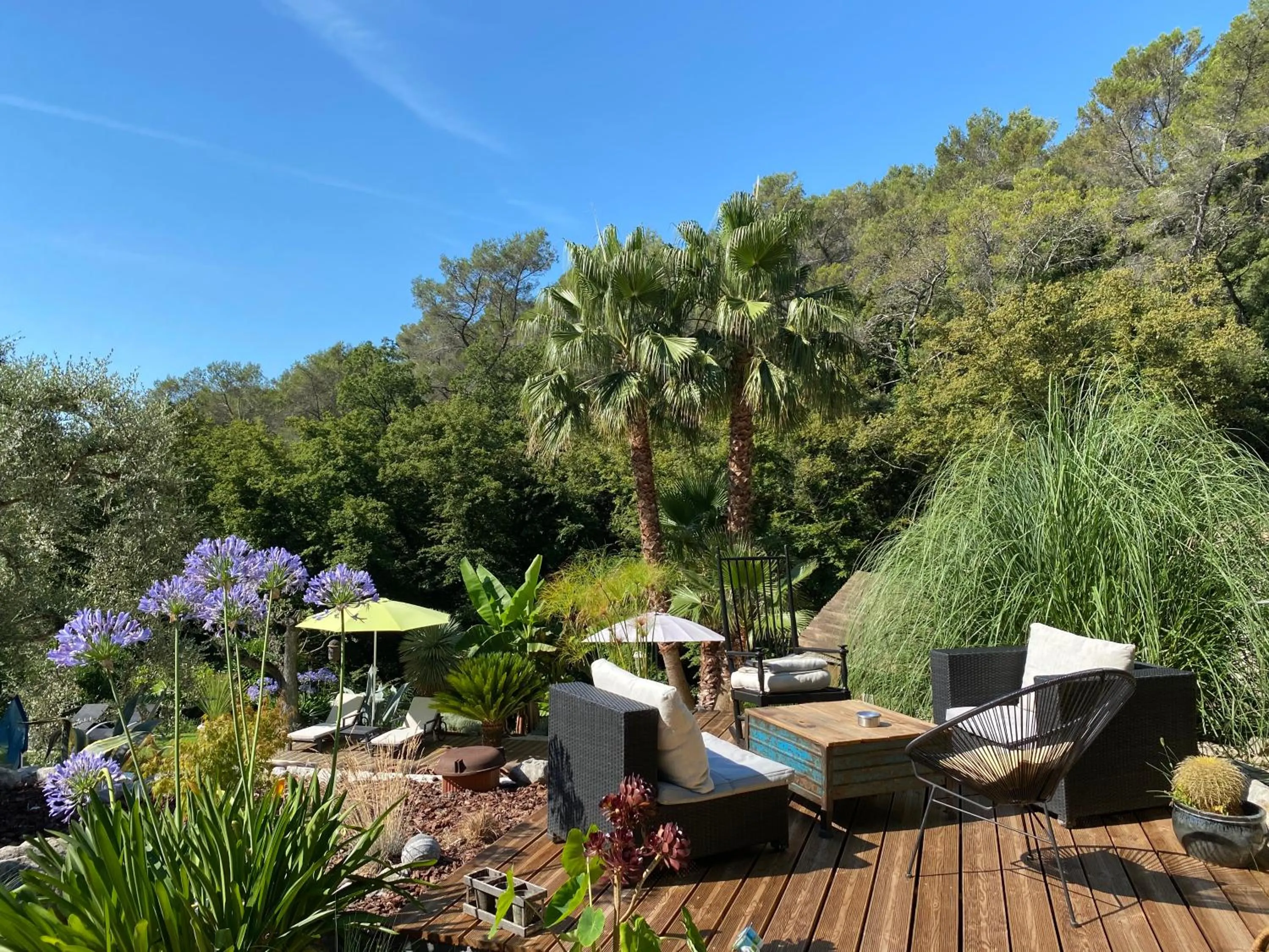 Garden in Le Maskalou