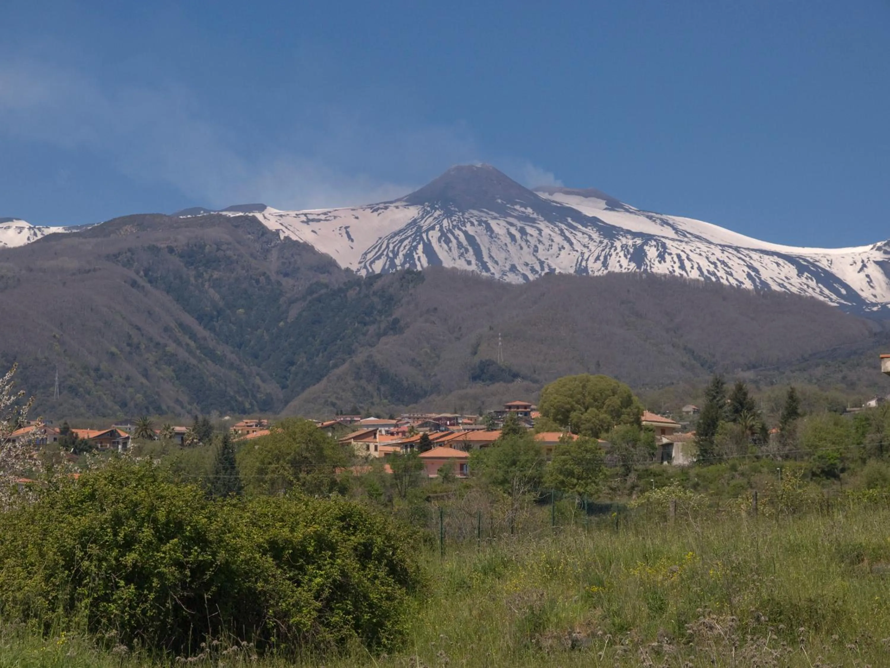 Natural landscape in Bouganville House
