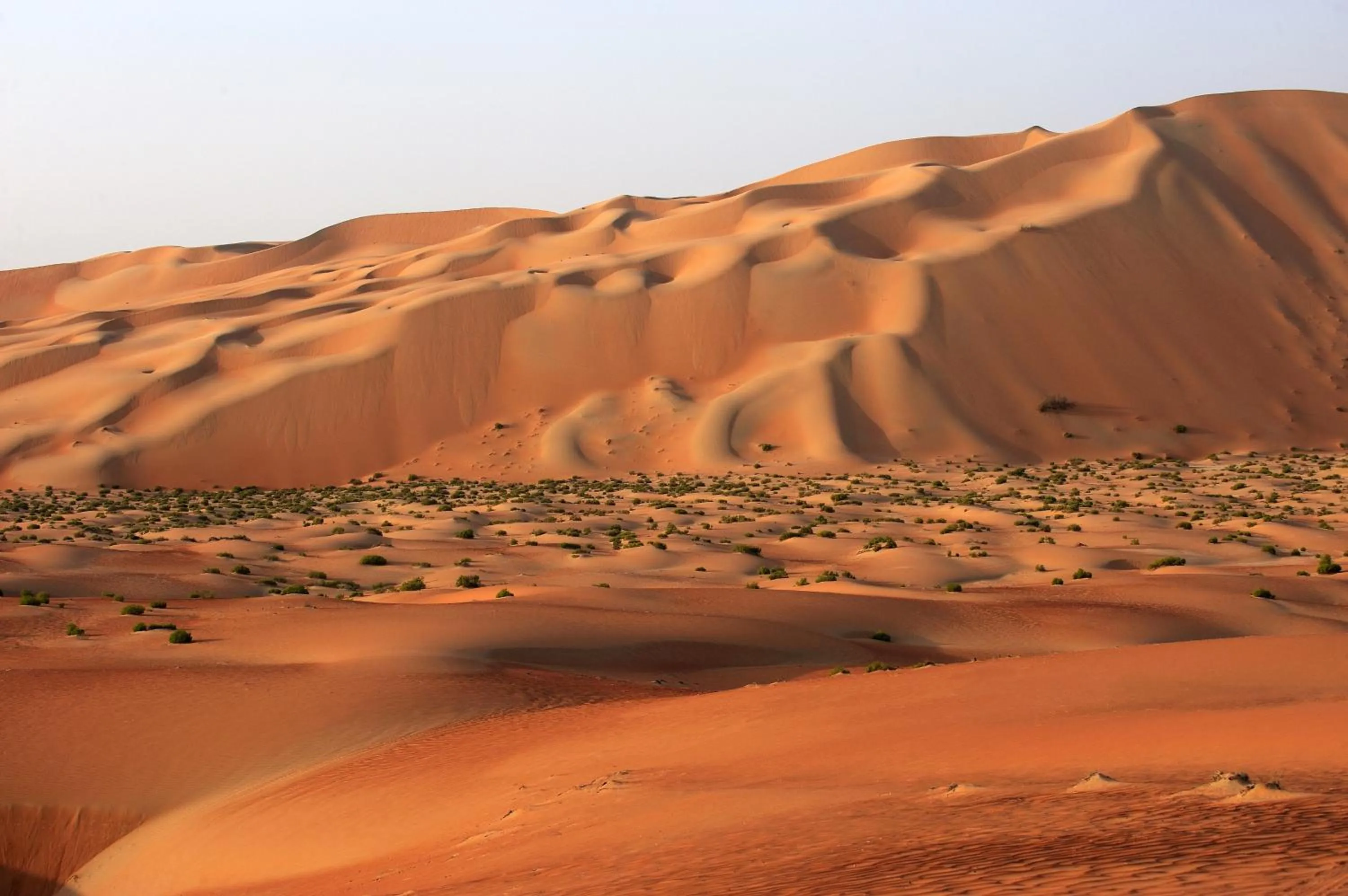 Area and facilities in Anantara Qasr al Sarab Desert Resort