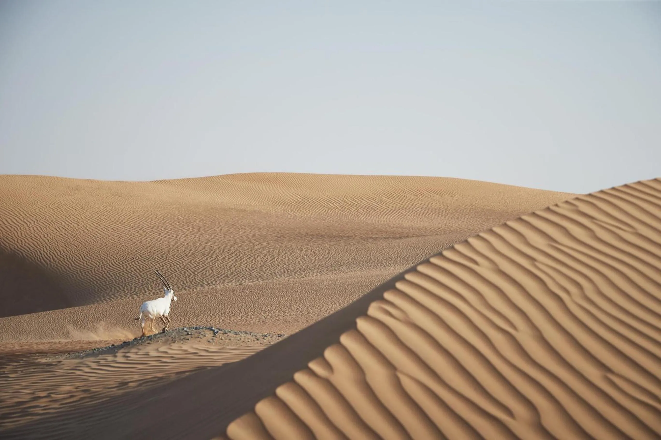 On site in Kempinski Central Avenue Dubai