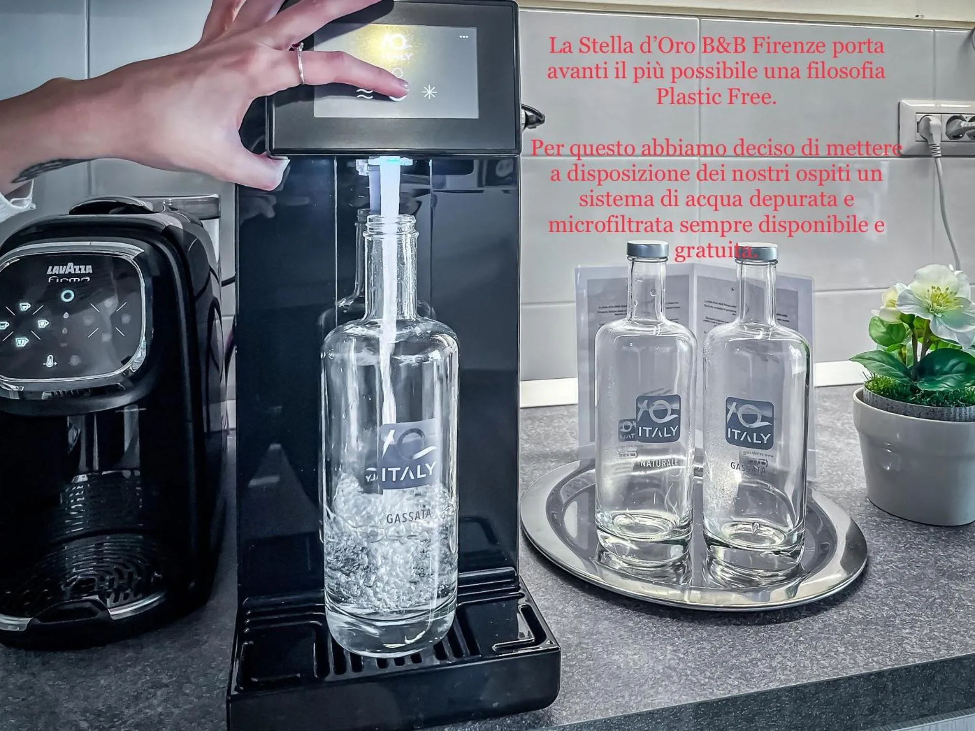 Kitchen or kitchenette in La Stella d'Oro B&B