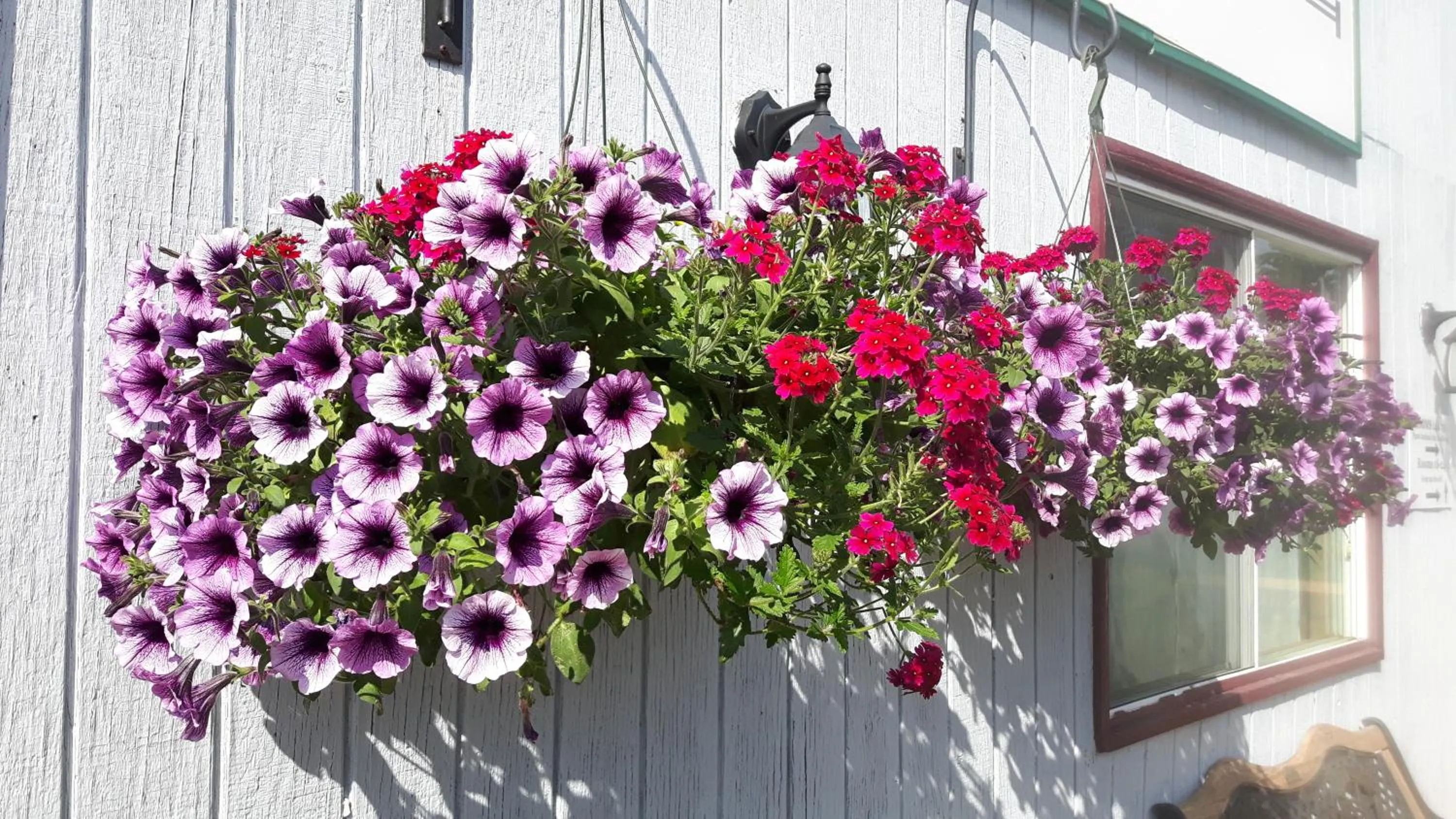 Property building in Fair Isle Motel & The Nest