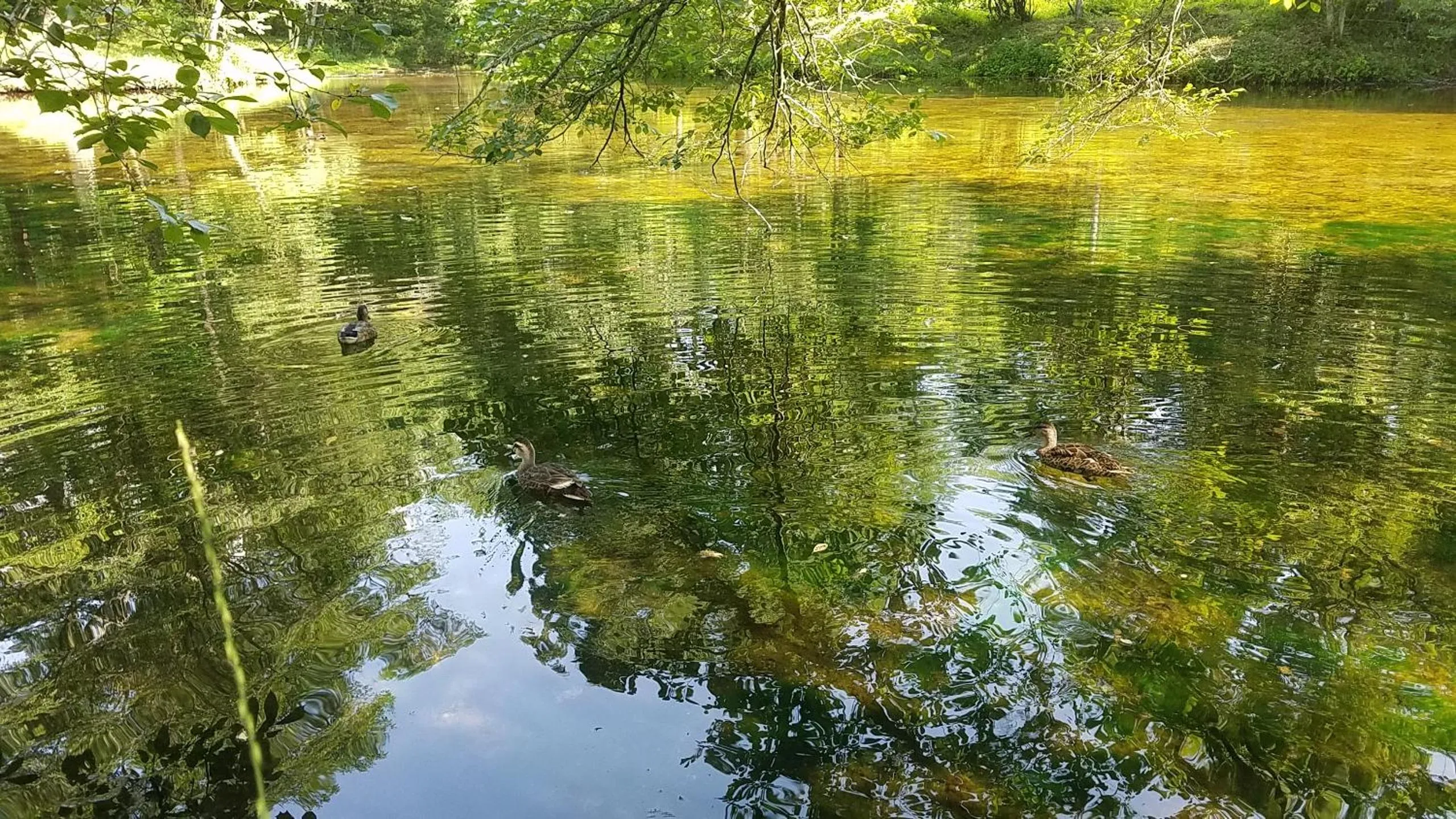 Nearby landmark in Dormy Club Karuizawa