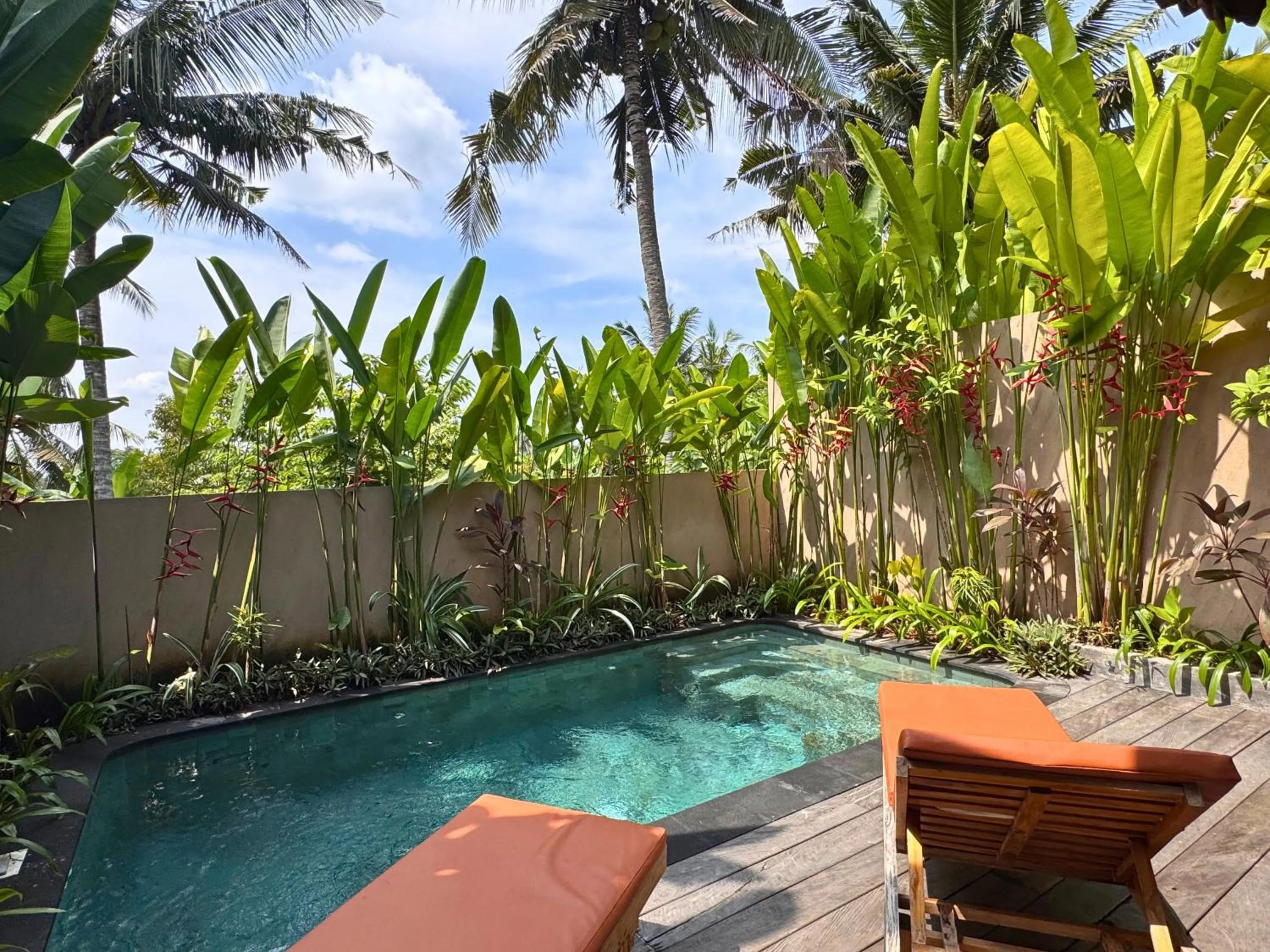 Pool view in Royal Casa Ganesha