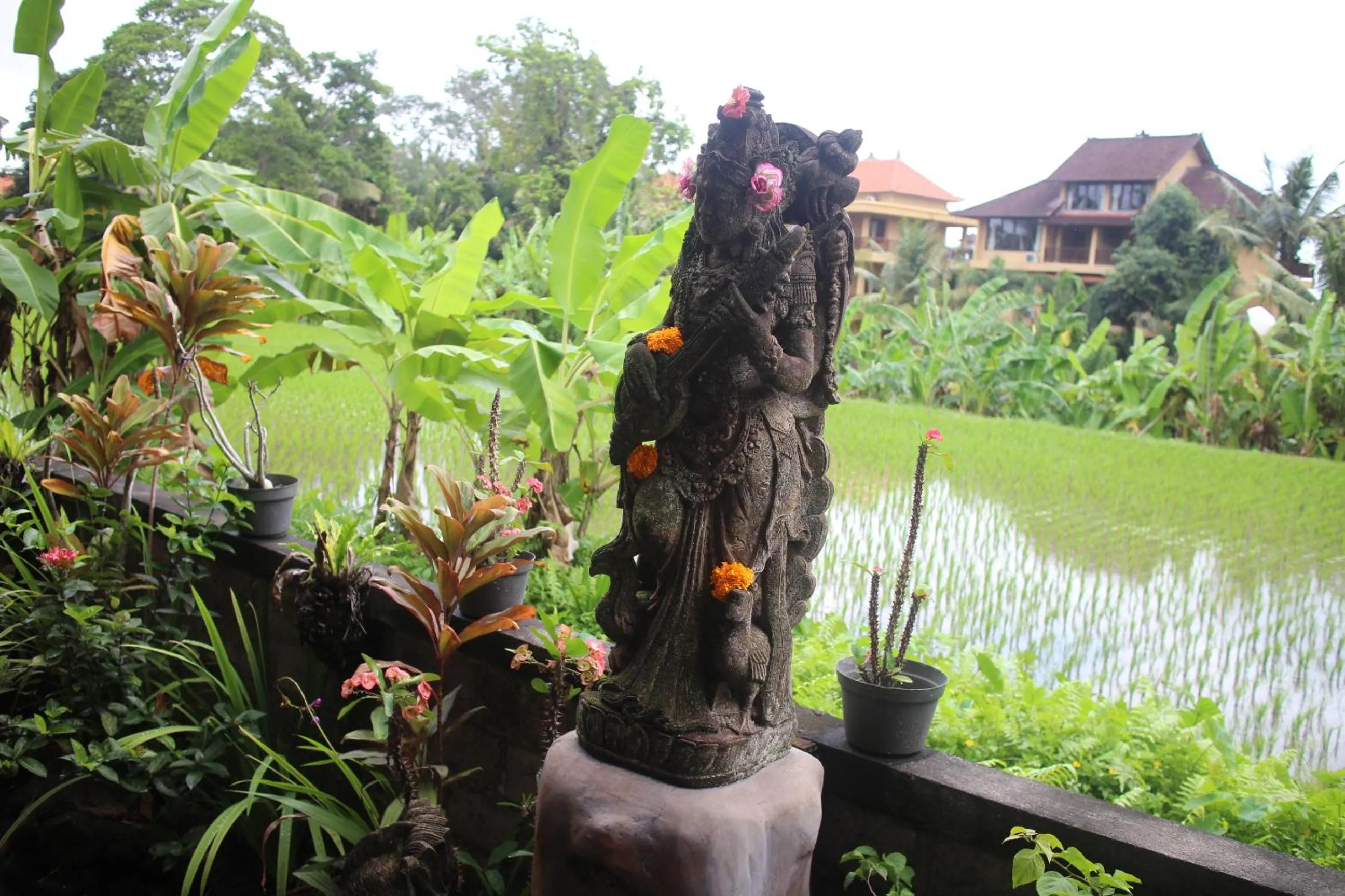 Neighbourhood in Ubud Sensasi Bungalow
