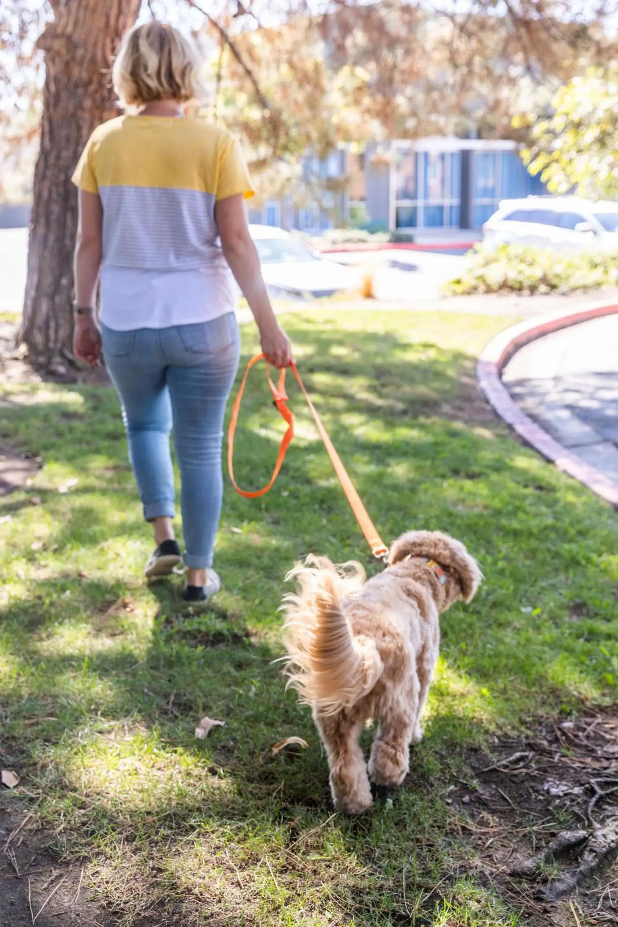 Property building in Sonesta Simply Suites Irvine East Foothill Property building in Sonesta Simply Suites Irvine East Foothill