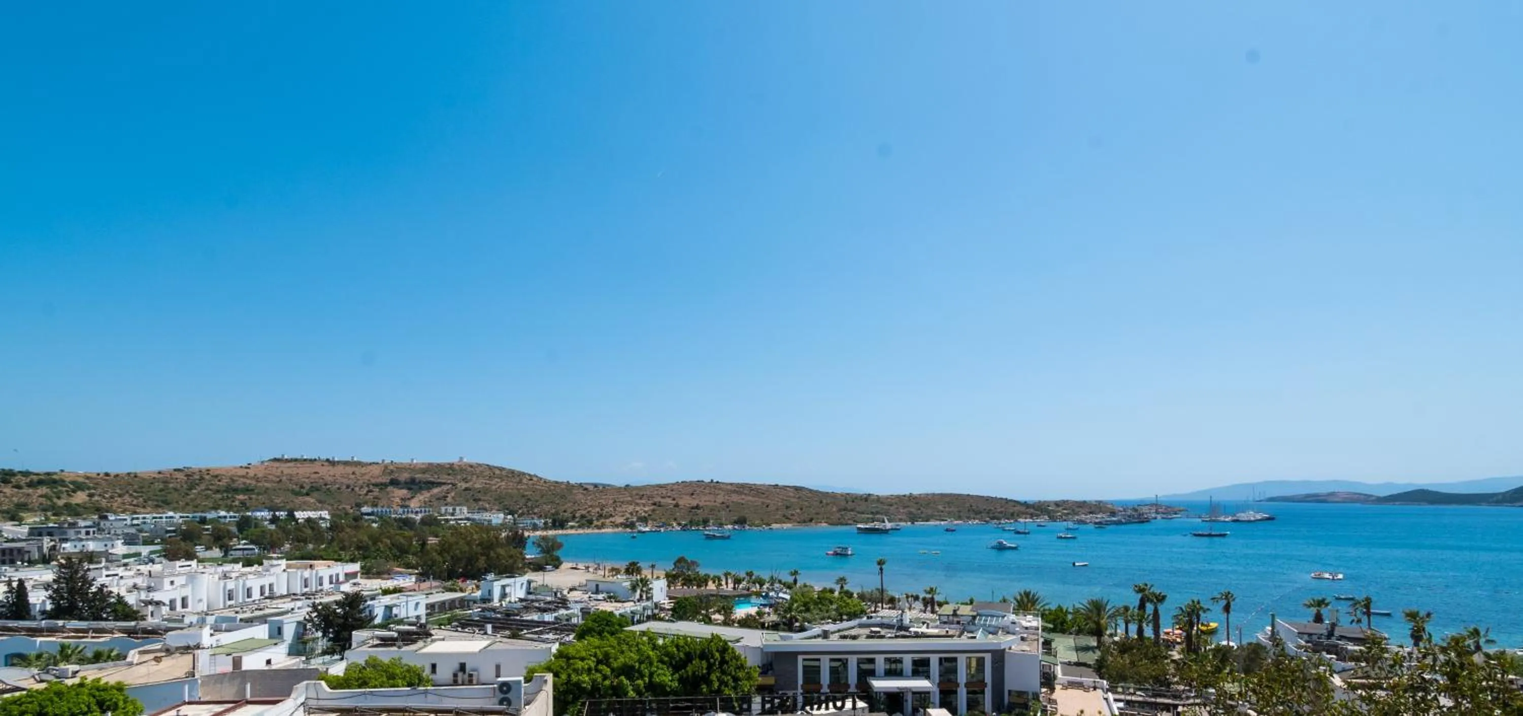 Property building in M Suite