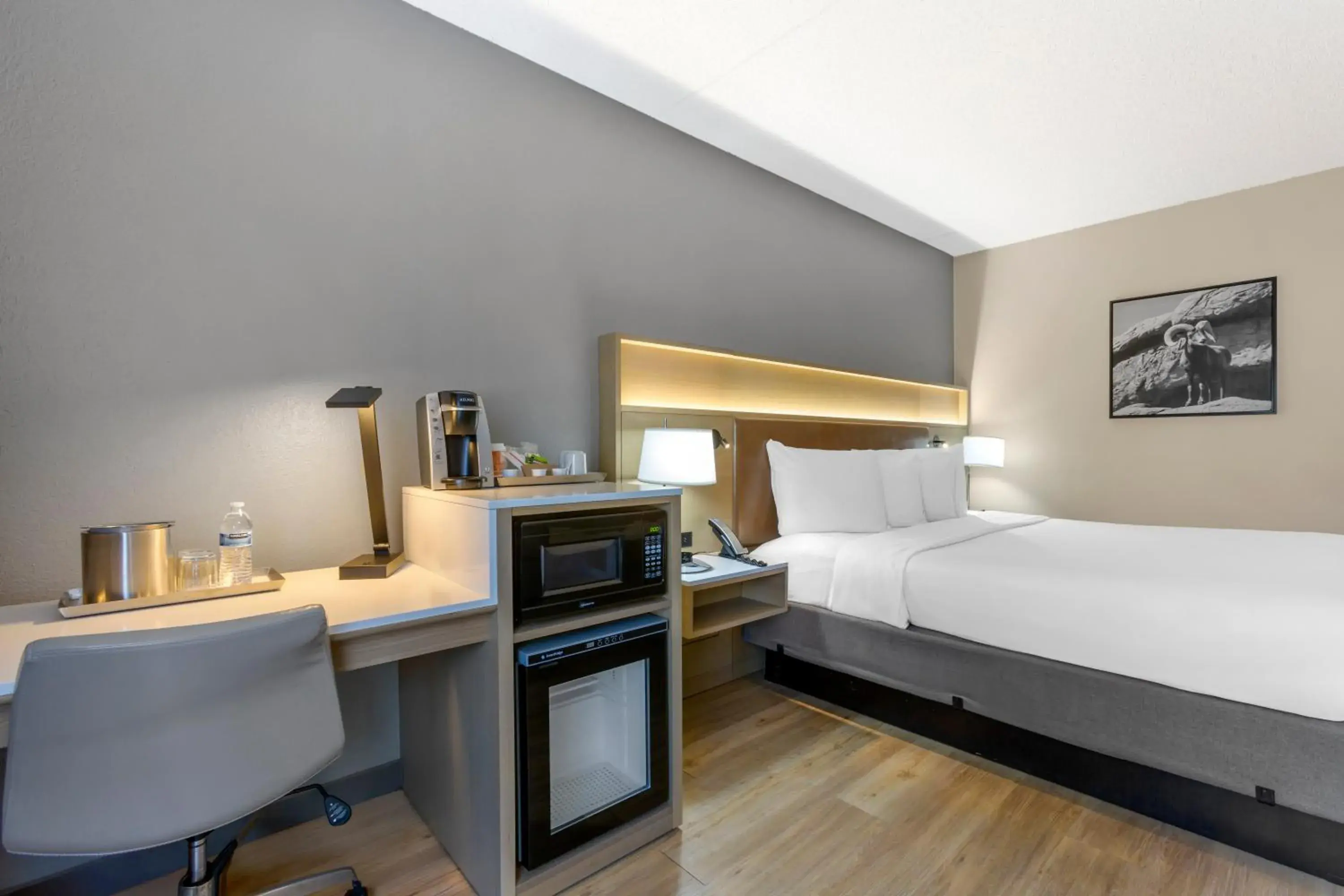 Bed in Radisson Hotel Casa Grande Bed in Radisson Hotel Casa Grande