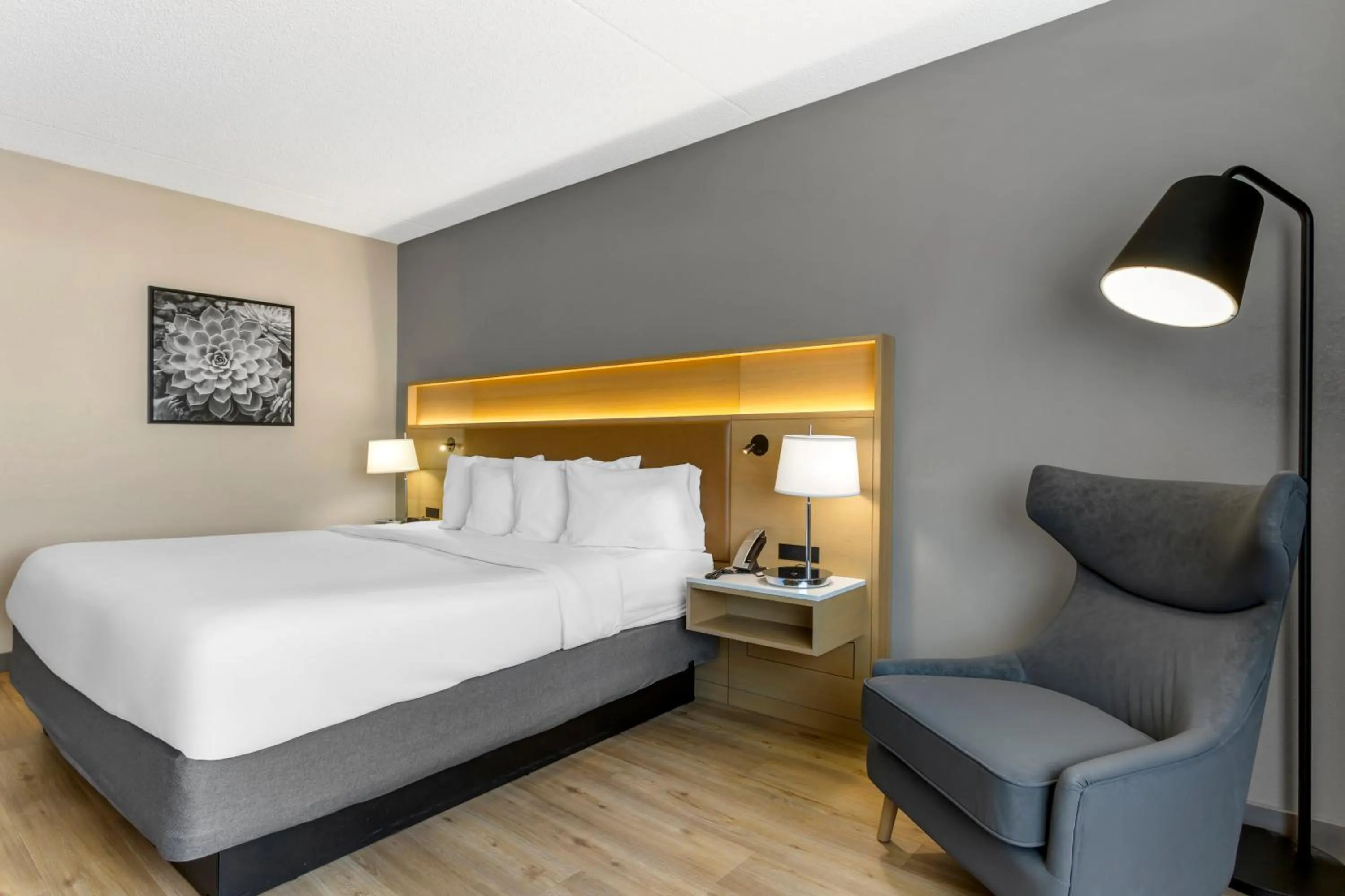 Bedroom, Bed in Radisson Hotel Casa Grande