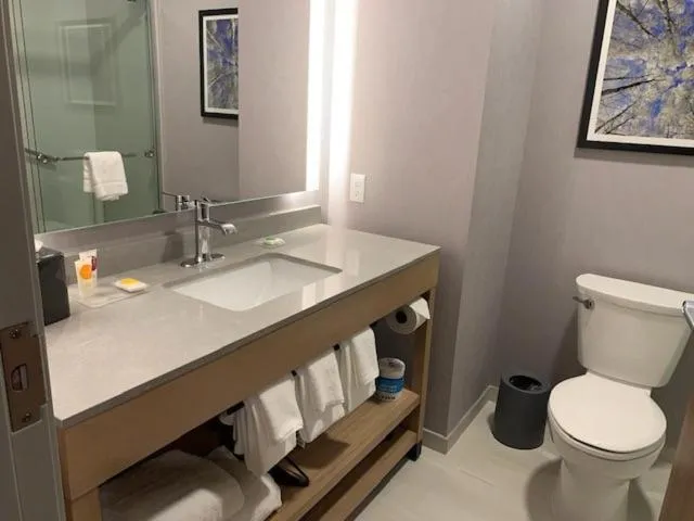 Toilet in Hyatt Place Fairbanks