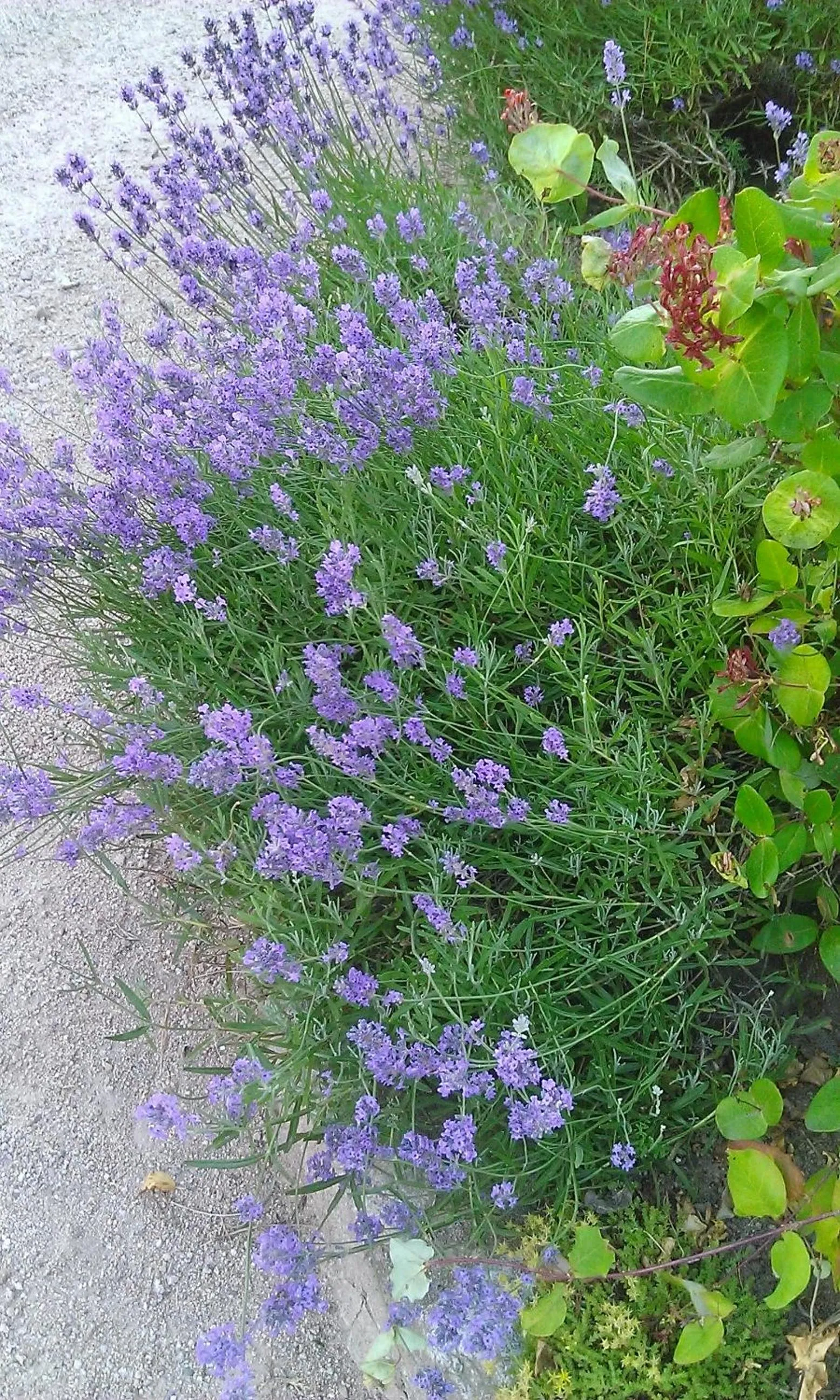 Facade/entrance in Hôtel La Vallée