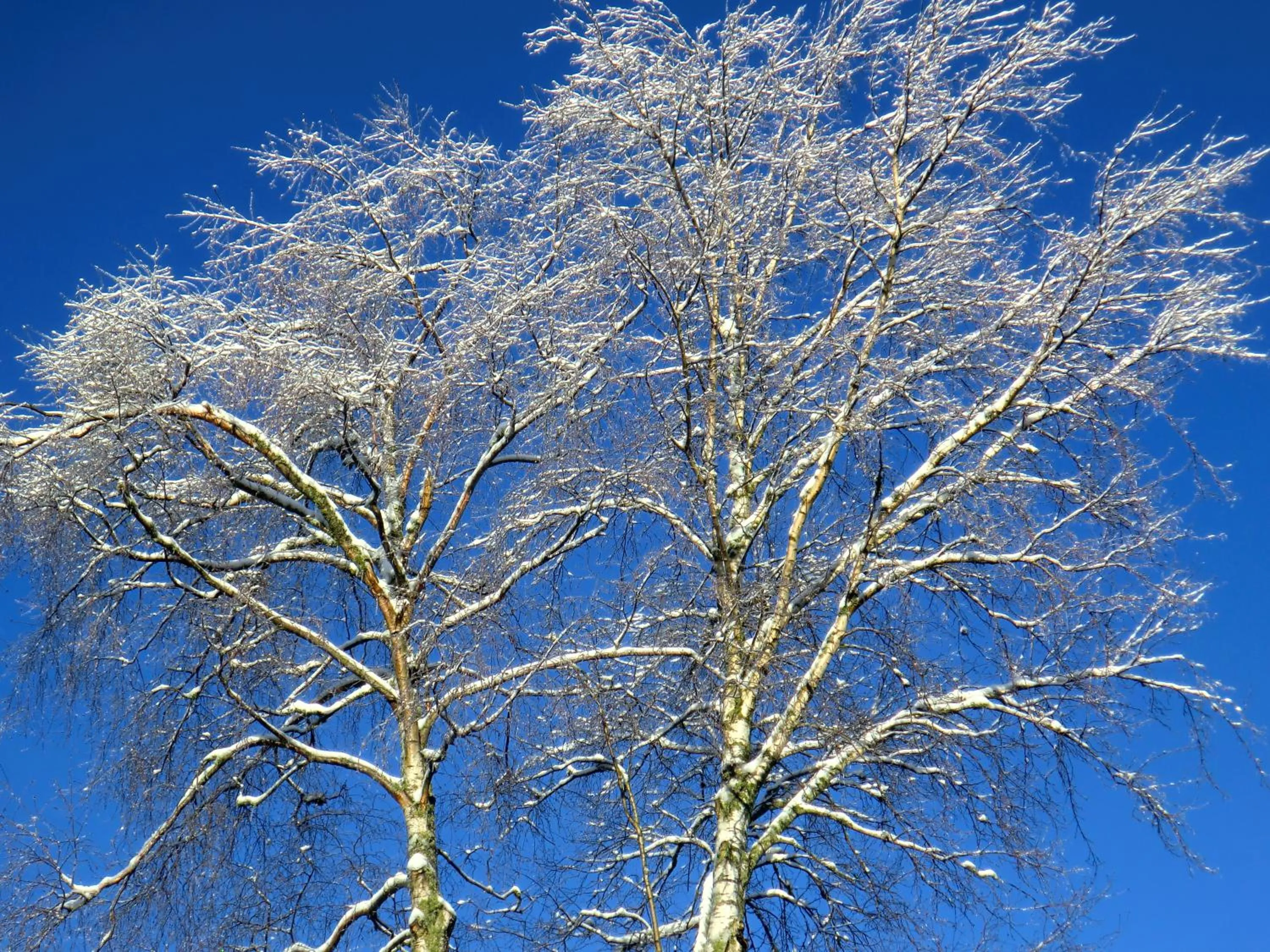 Facade/entrance in Hôtel La Vallée