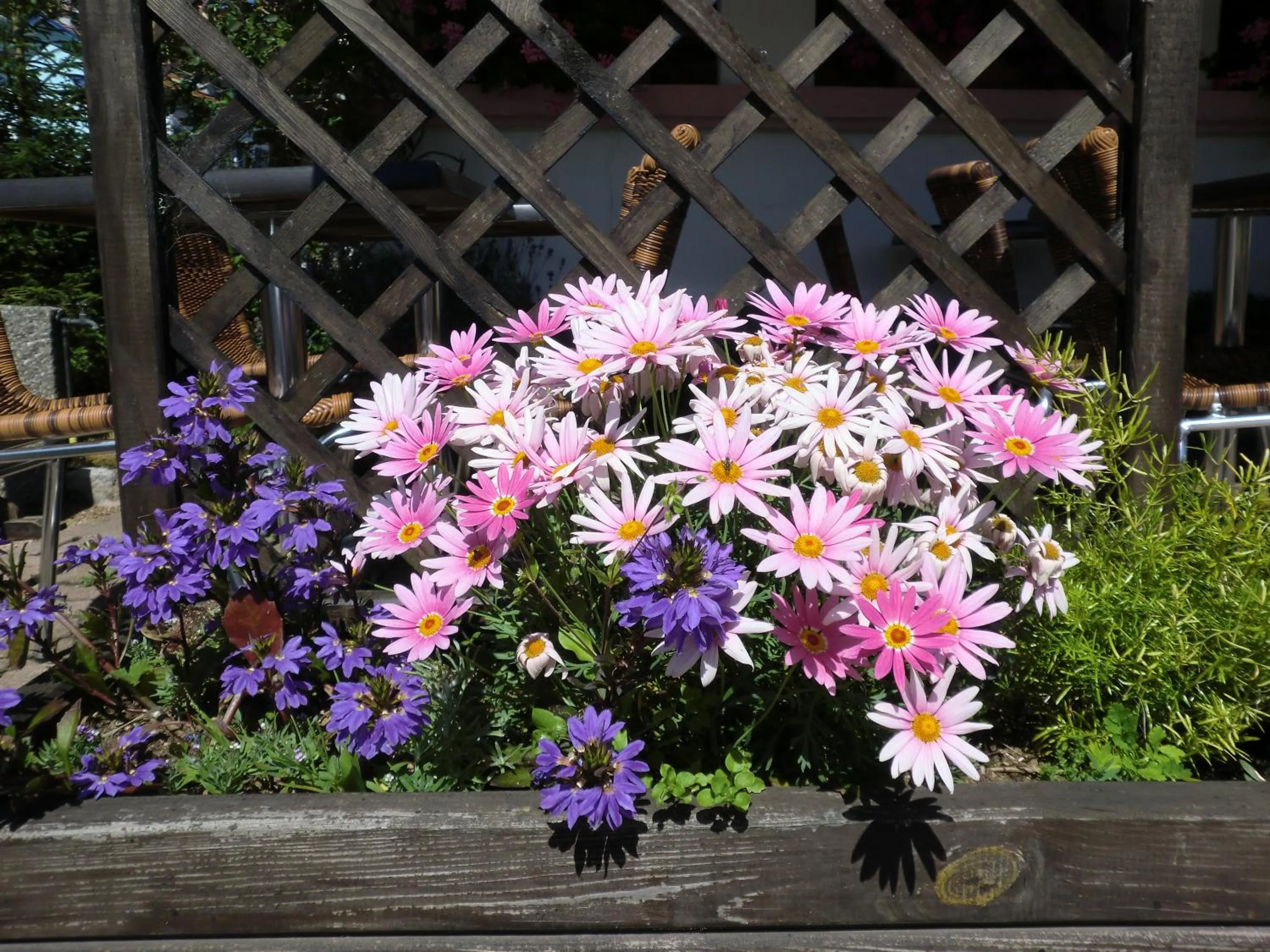 Balcony/Terrace in Hôtel La Vallée