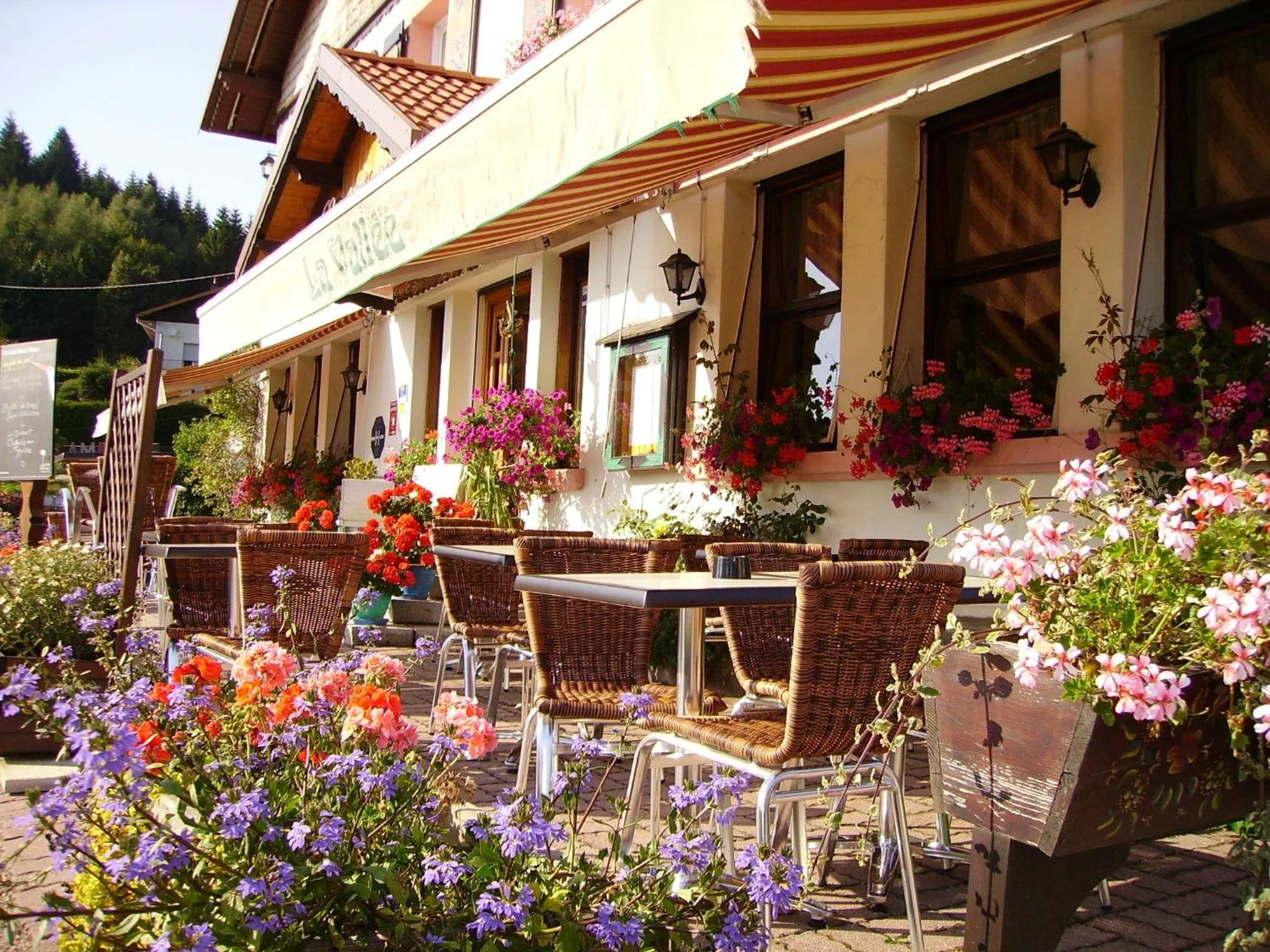Balcony/Terrace in Hôtel La Vallée