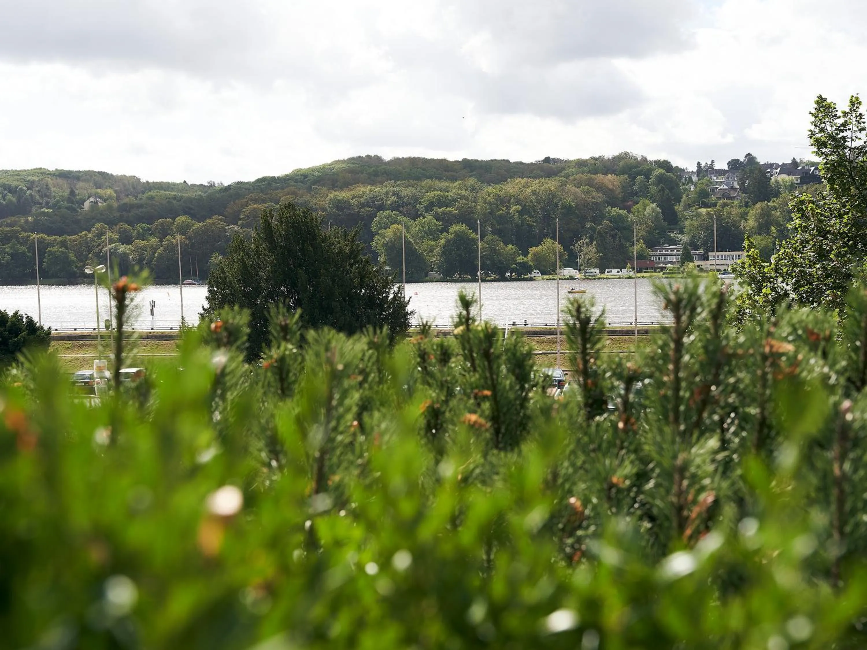 Lake view in Parkhaus Hügel