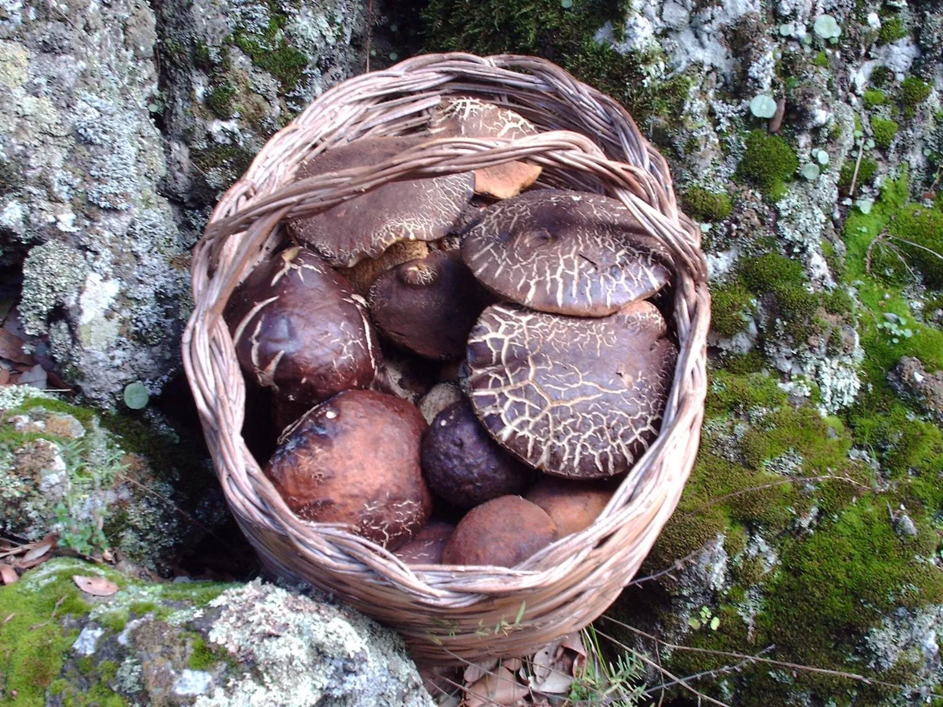 Property building in B&B Don Diego