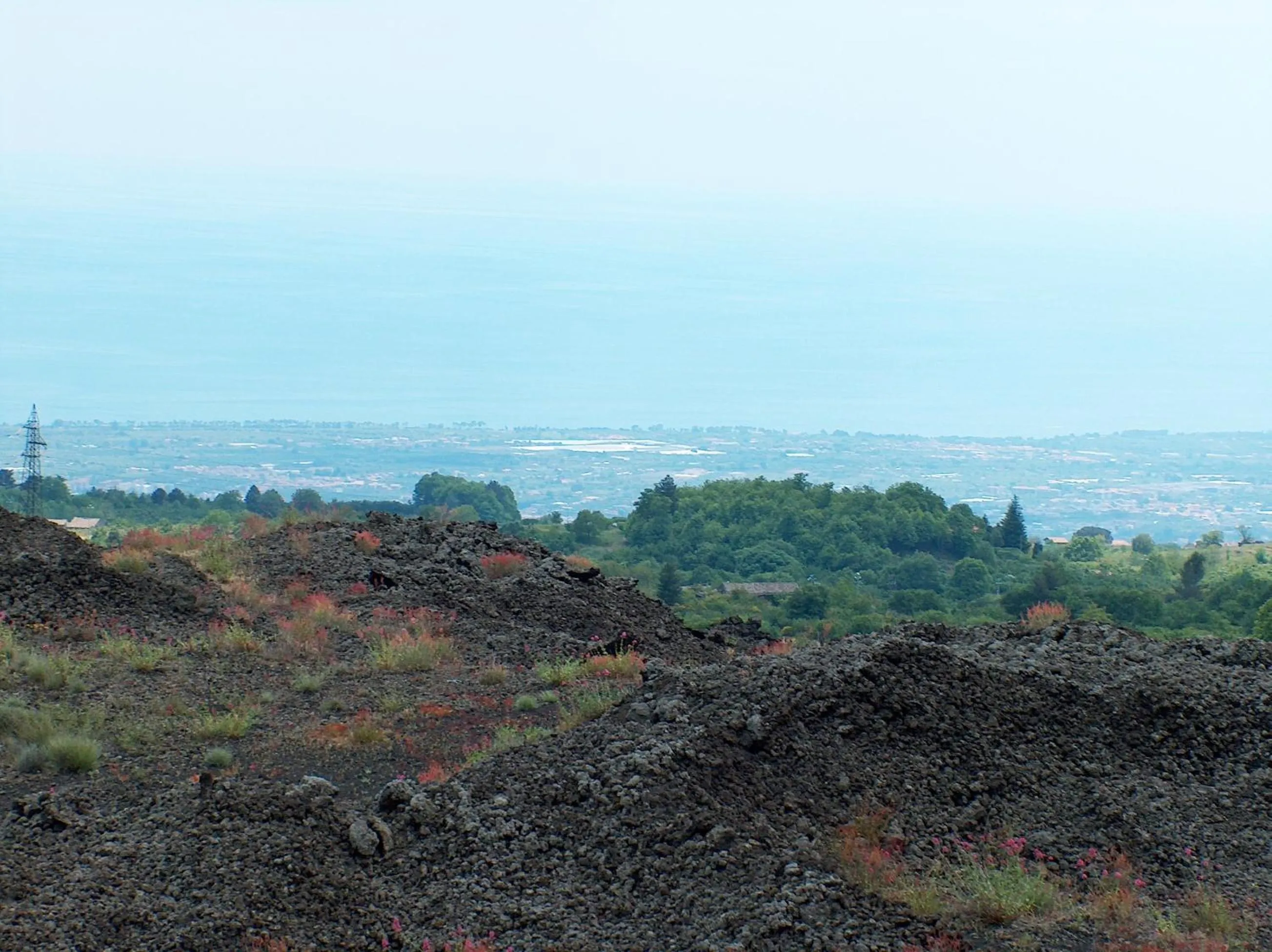 Property building in B&B Don Diego