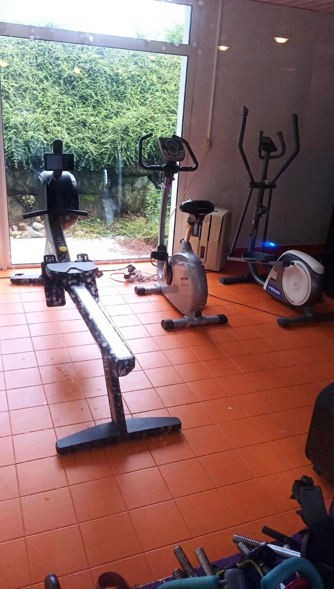 Le Roi du Sundgau près de la Horse - Mooslargue