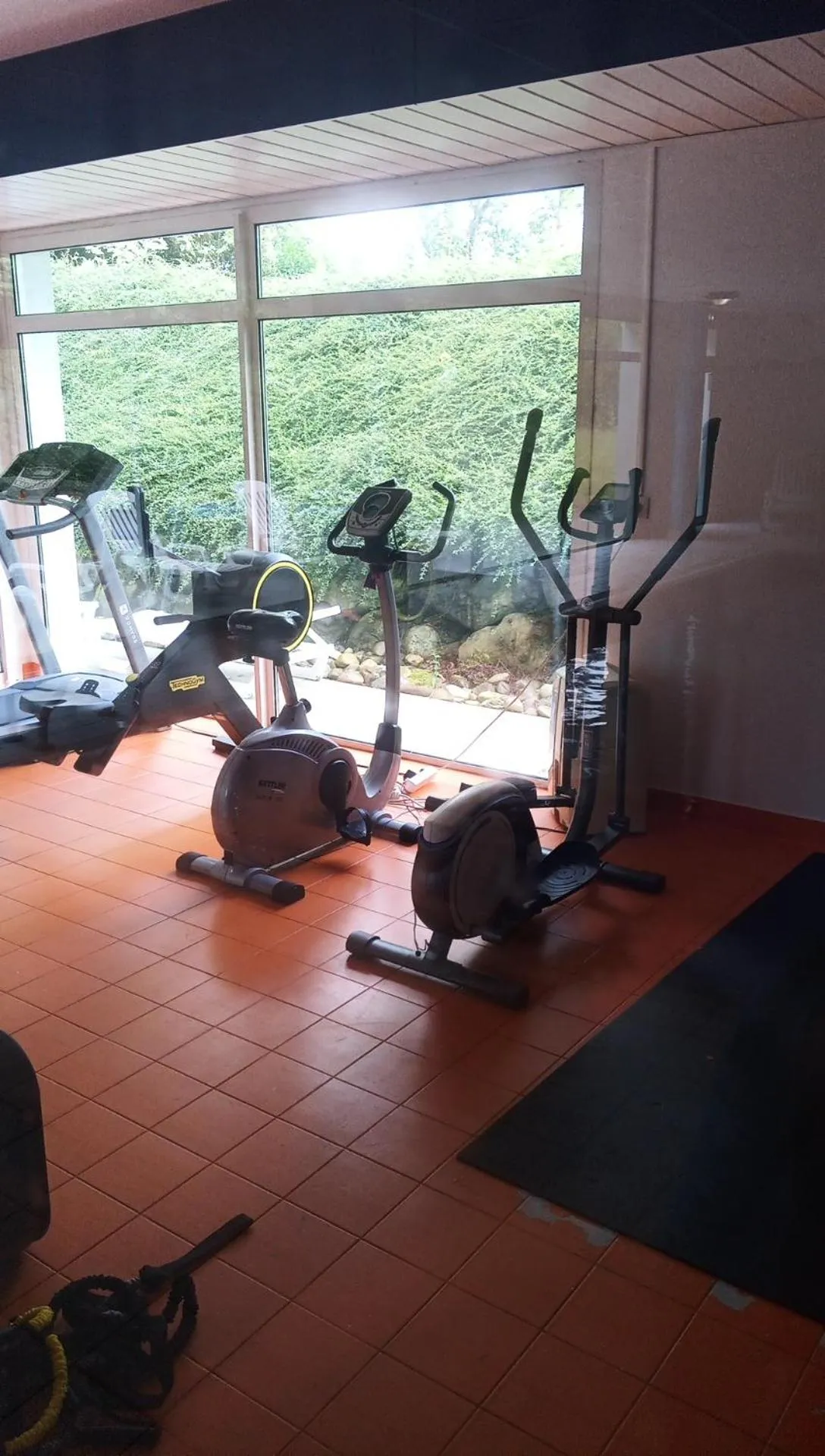 Le Roi du Sundgau près de la Horse - Mooslargue