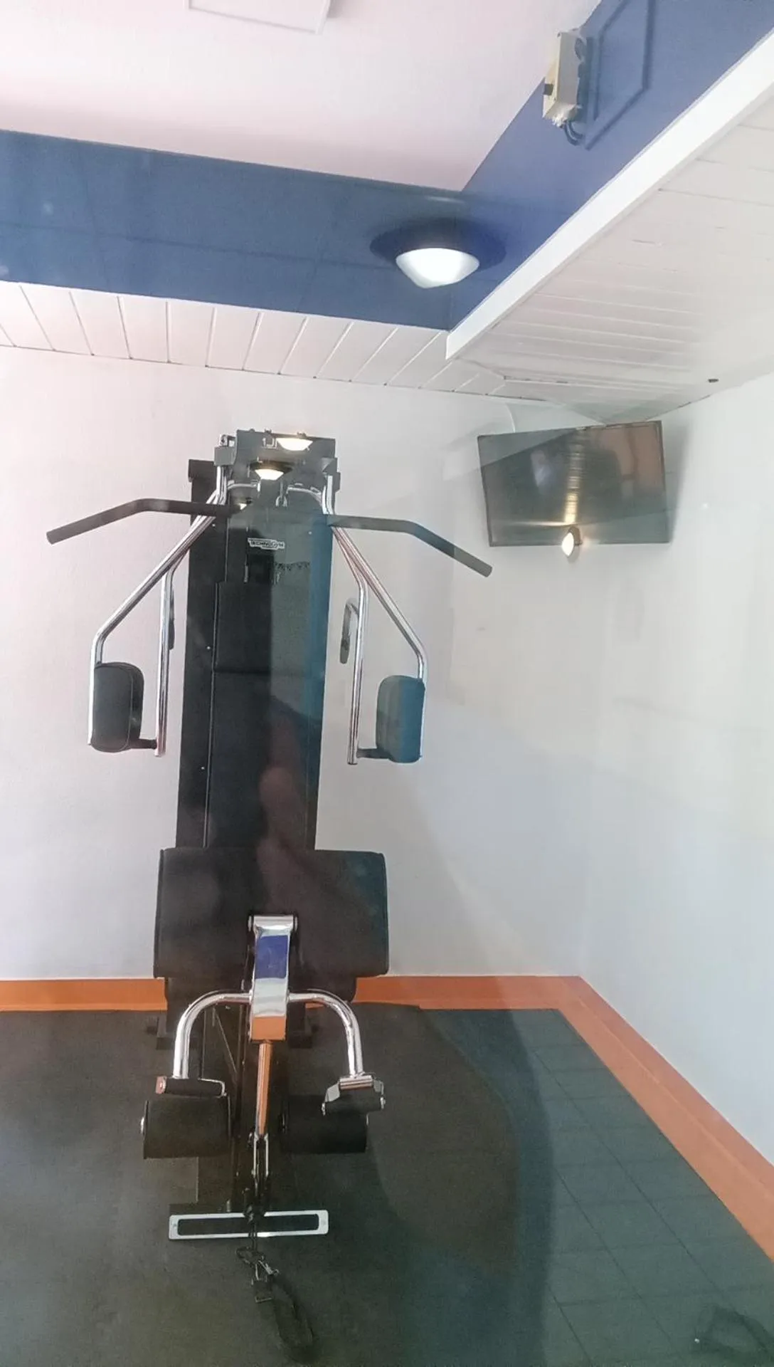 Le Roi du Sundgau près de la Horse - Mooslargue